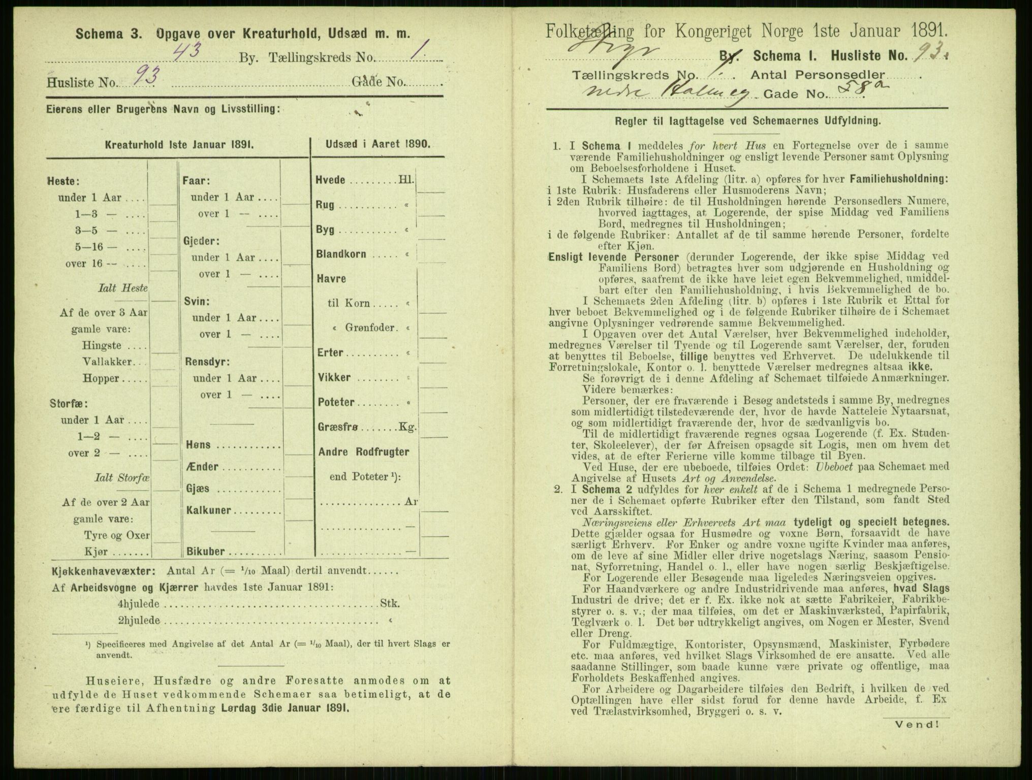 RA, 1891 census for 1103 Stavanger, 1891, p. 255