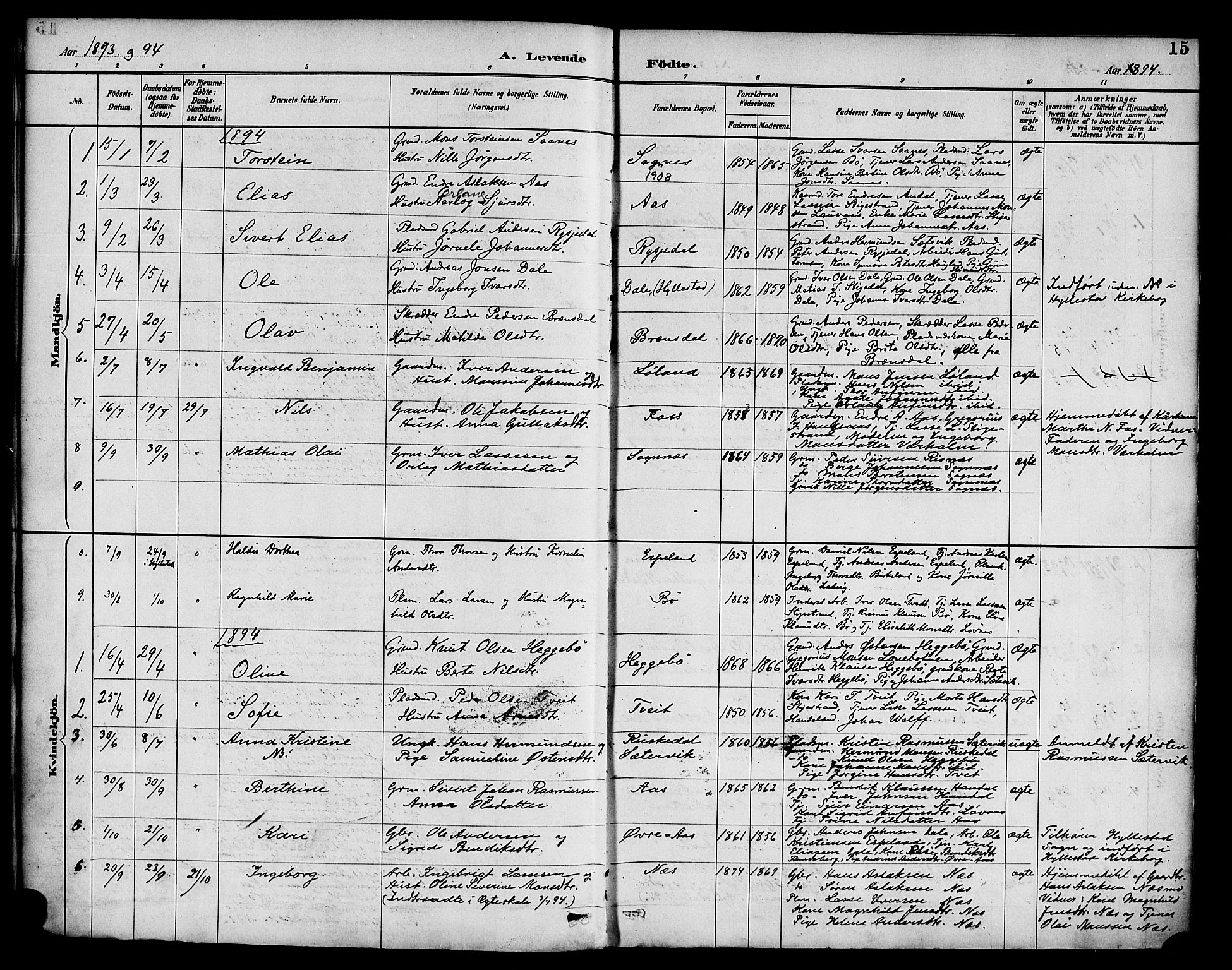 Hyllestad sokneprestembete, SAB/A-80401: Parish register (official) no. C 1, 1886-1904, p. 15
