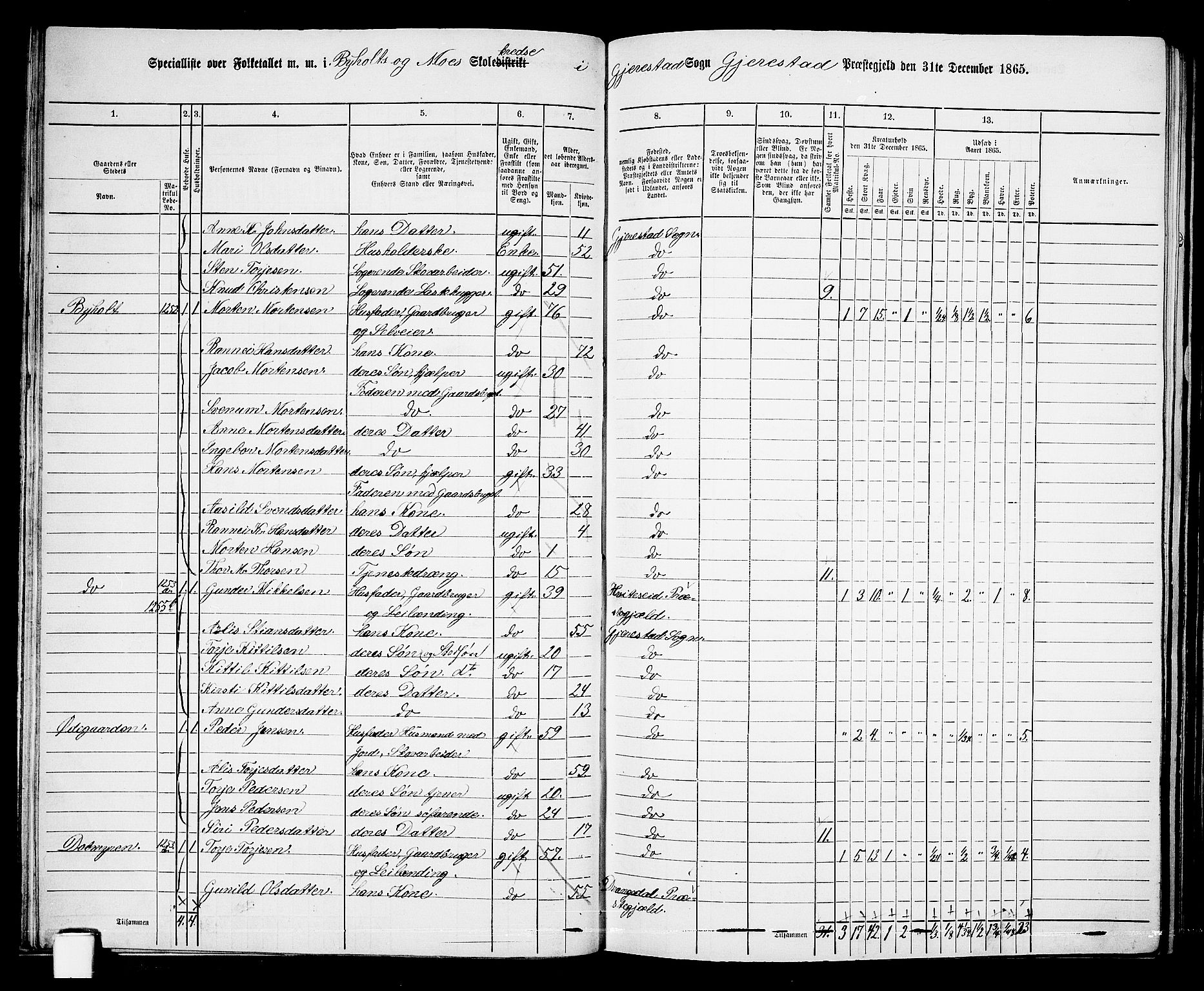 RA, 1865 census for Gjerstad, 1865, p. 37