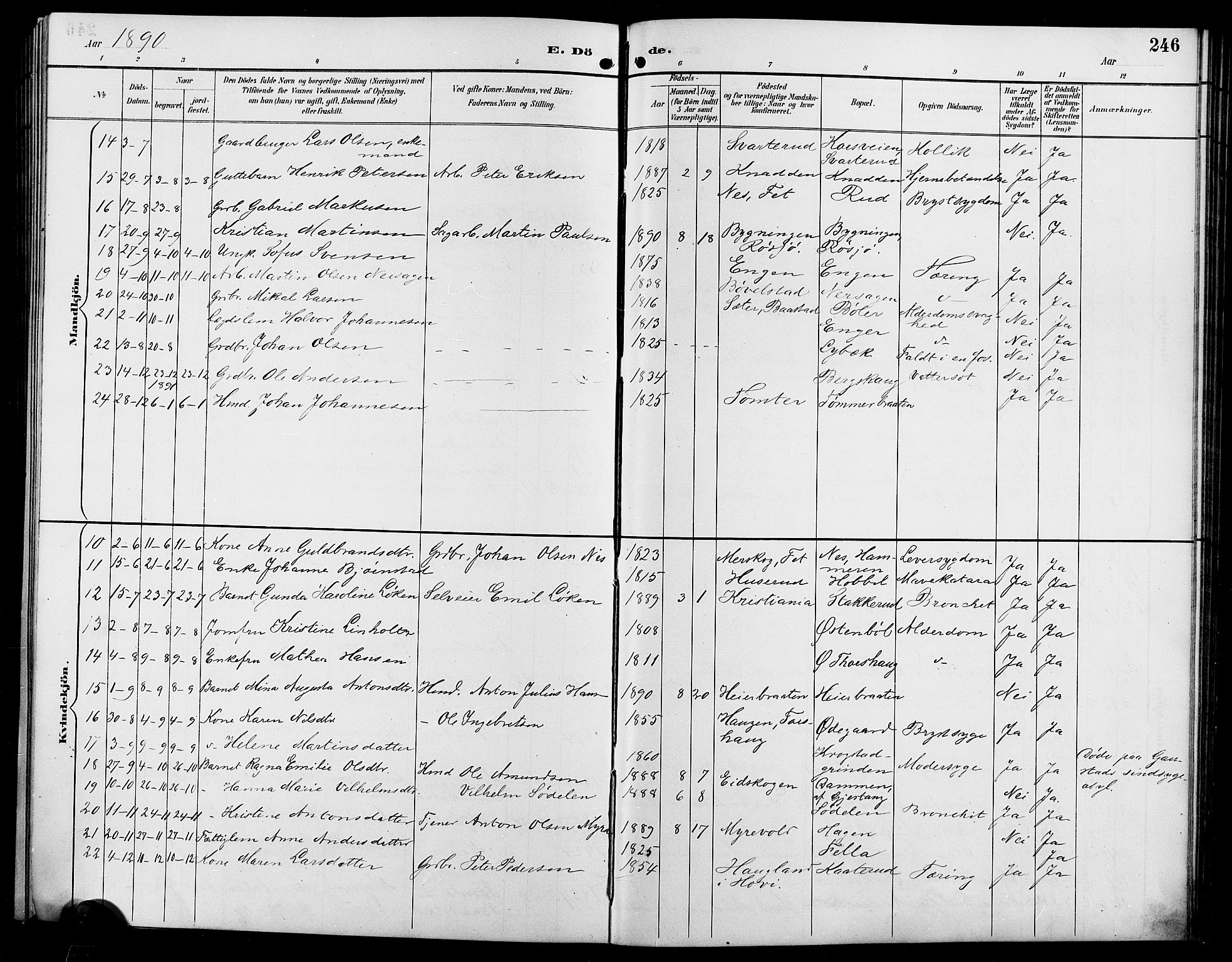 Enebakk prestekontor Kirkebøker, SAO/A-10171c/G/Ga/L0006: Parish register (copy) no. I 6, 1889-1911, p. 246