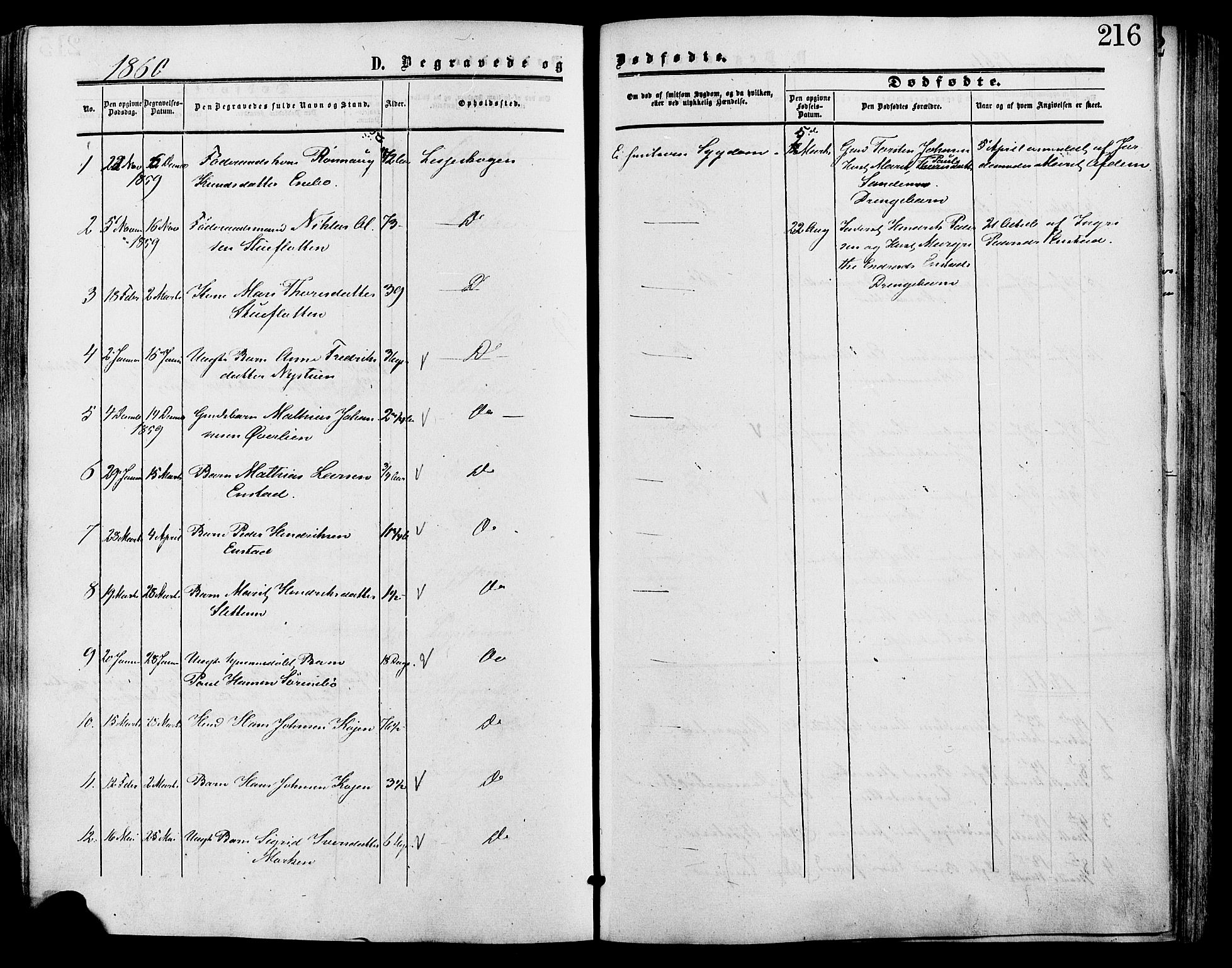 Lesja prestekontor, SAH/PREST-068/H/Ha/Haa/L0009: Parish register (official) no. 9, 1854-1889, p. 216