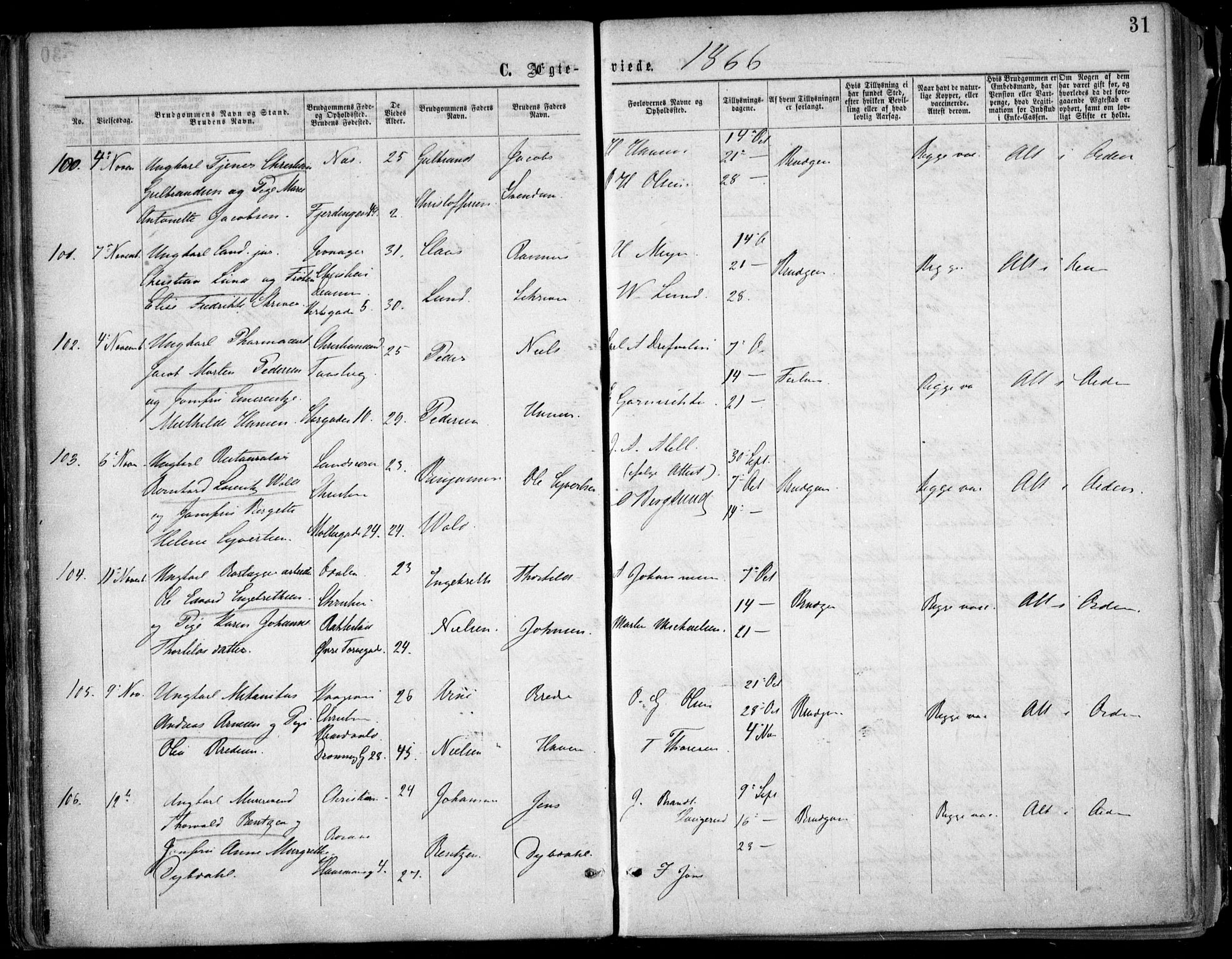 Oslo domkirke Kirkebøker, SAO/A-10752/F/Fa/L0021: Parish register (official) no. 21, 1865-1884, p. 31