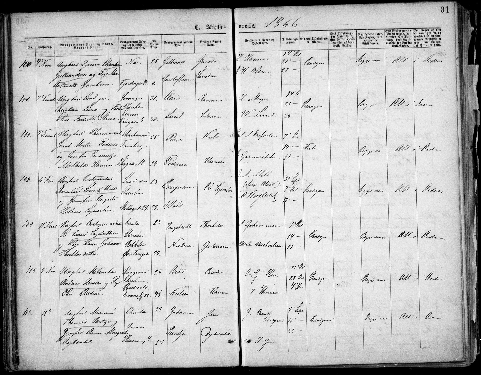 Oslo domkirke Kirkebøker, AV/SAO-A-10752/F/Fa/L0021: Parish register (official) no. 21, 1865-1884, p. 31