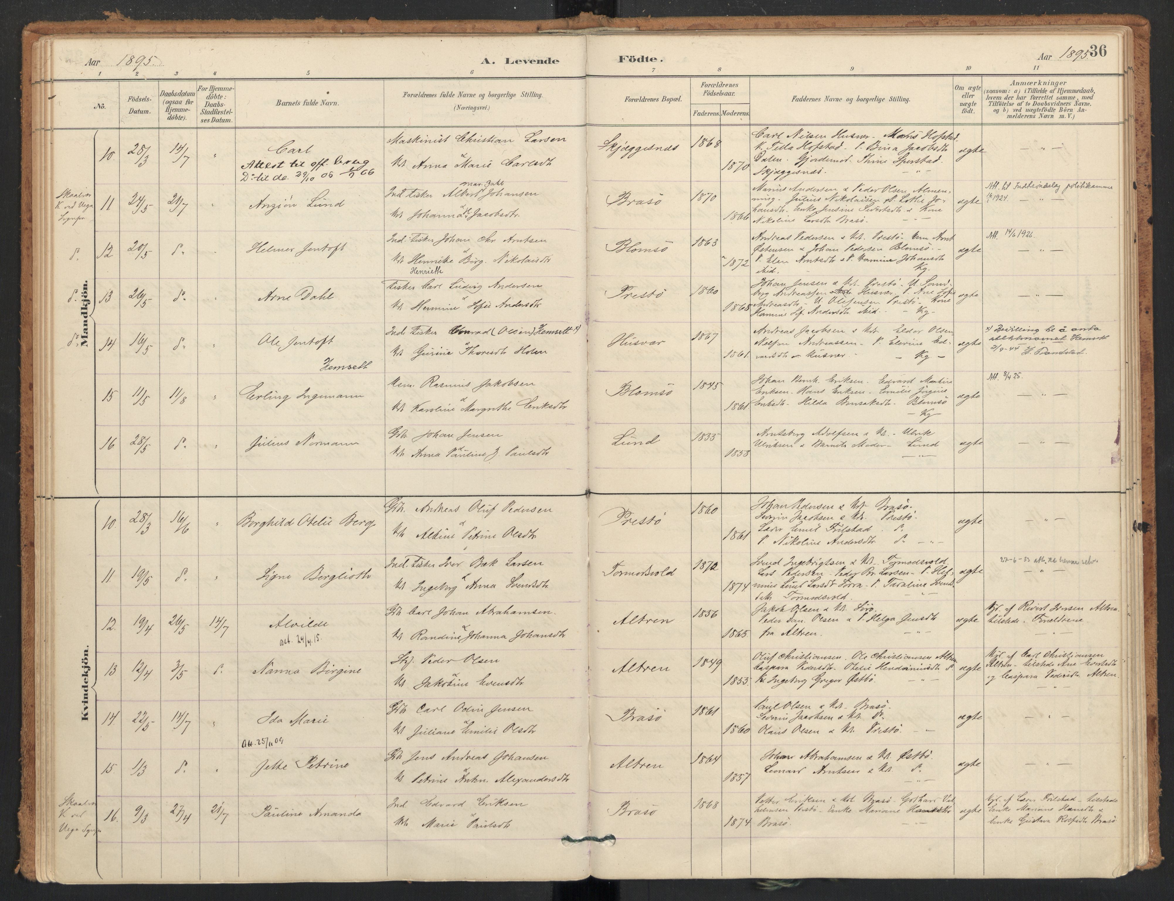 Ministerialprotokoller, klokkerbøker og fødselsregistre - Nordland, SAT/A-1459/830/L0453: Parish register (official) no. 830A17, 1886-1911, p. 36