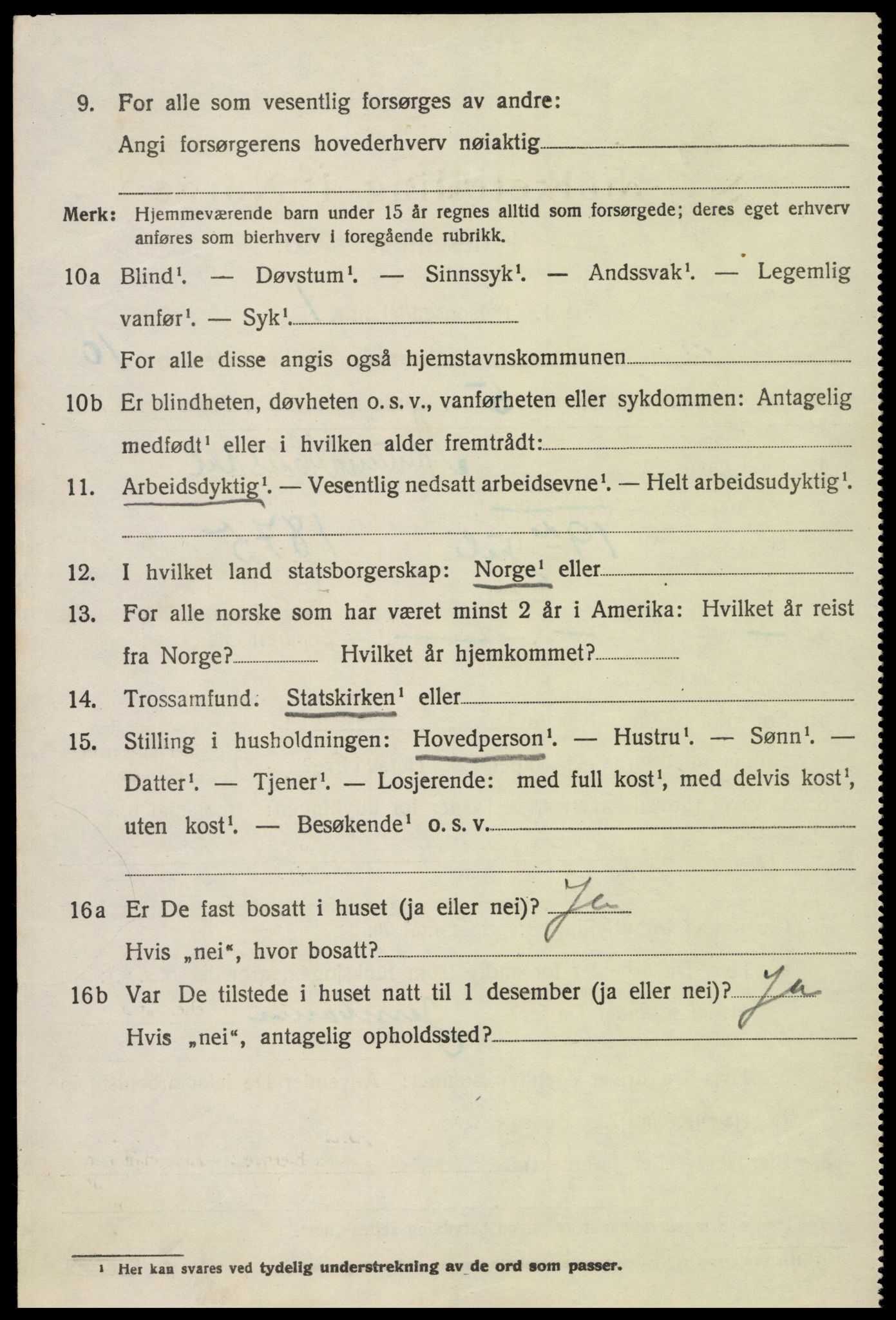 SAK, 1920 census for Hornnes, 1920, p. 2542
