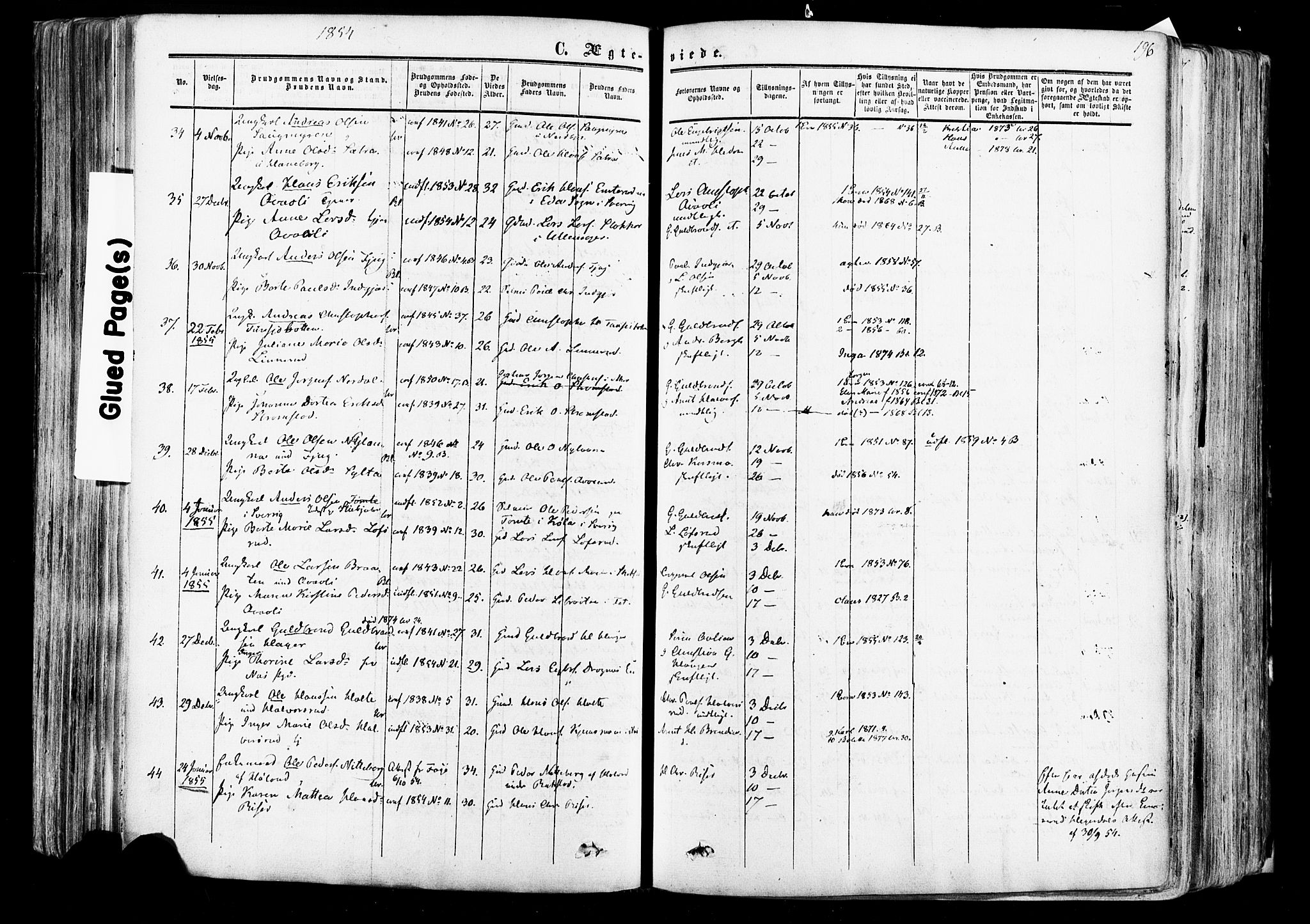 Aurskog prestekontor Kirkebøker, SAO/A-10304a/F/Fa/L0007: Parish register (official) no. I 7, 1854-1877, p. 196