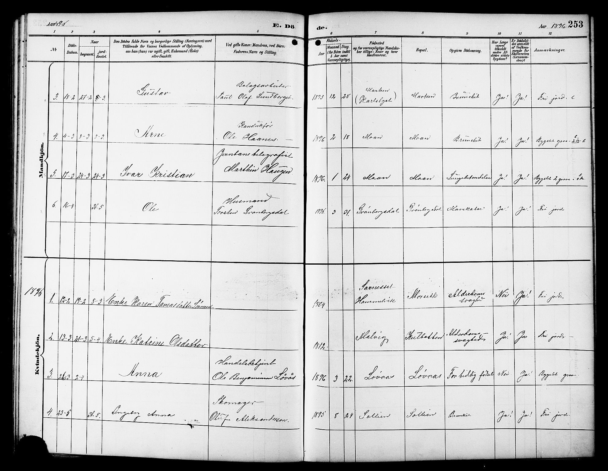 Ministerialprotokoller, klokkerbøker og fødselsregistre - Sør-Trøndelag, SAT/A-1456/617/L0431: Parish register (copy) no. 617C01, 1889-1910, p. 253