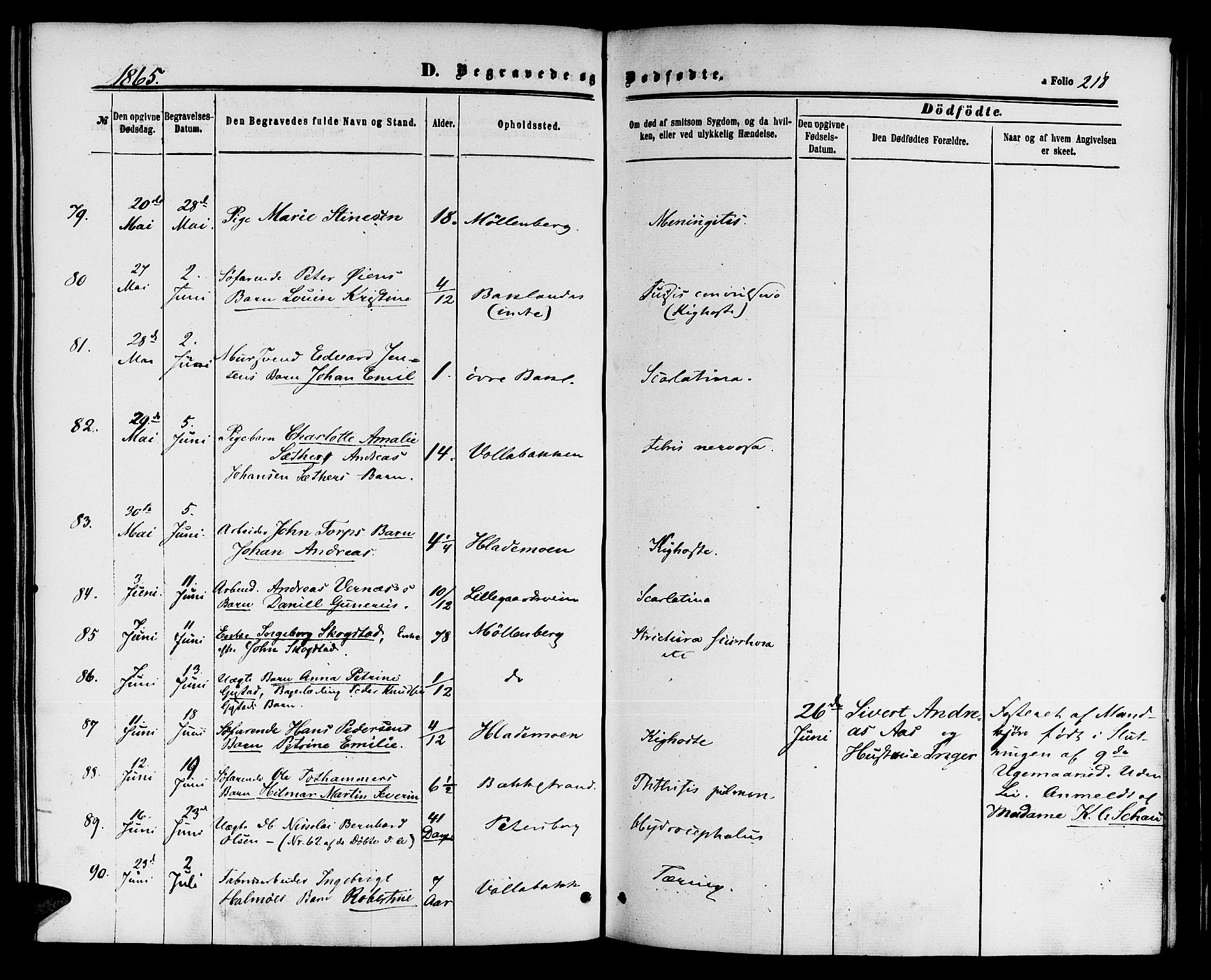 Ministerialprotokoller, klokkerbøker og fødselsregistre - Sør-Trøndelag, AV/SAT-A-1456/604/L0185: Parish register (official) no. 604A06, 1861-1865, p. 218