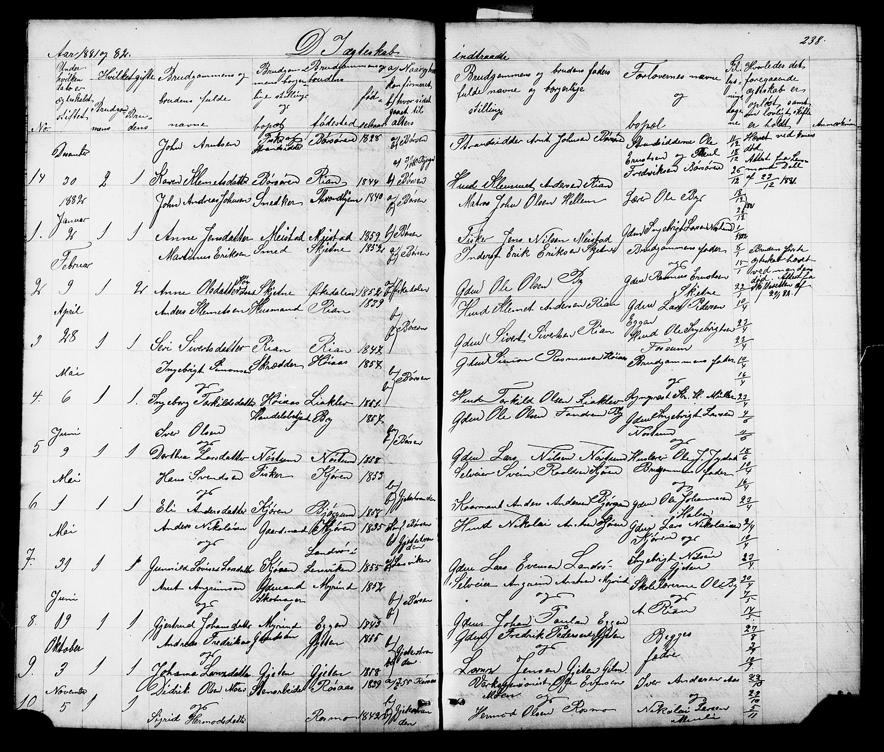 Ministerialprotokoller, klokkerbøker og fødselsregistre - Sør-Trøndelag, AV/SAT-A-1456/665/L0777: Parish register (copy) no. 665C02, 1867-1915, p. 238