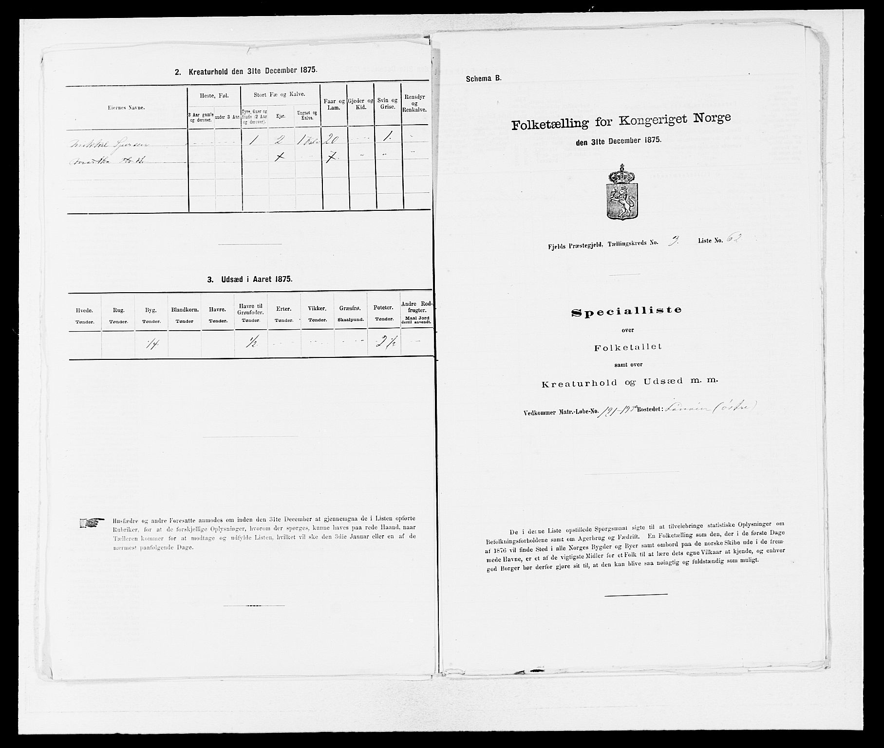 SAB, 1875 census for 1246P Fjell, 1875, p. 411