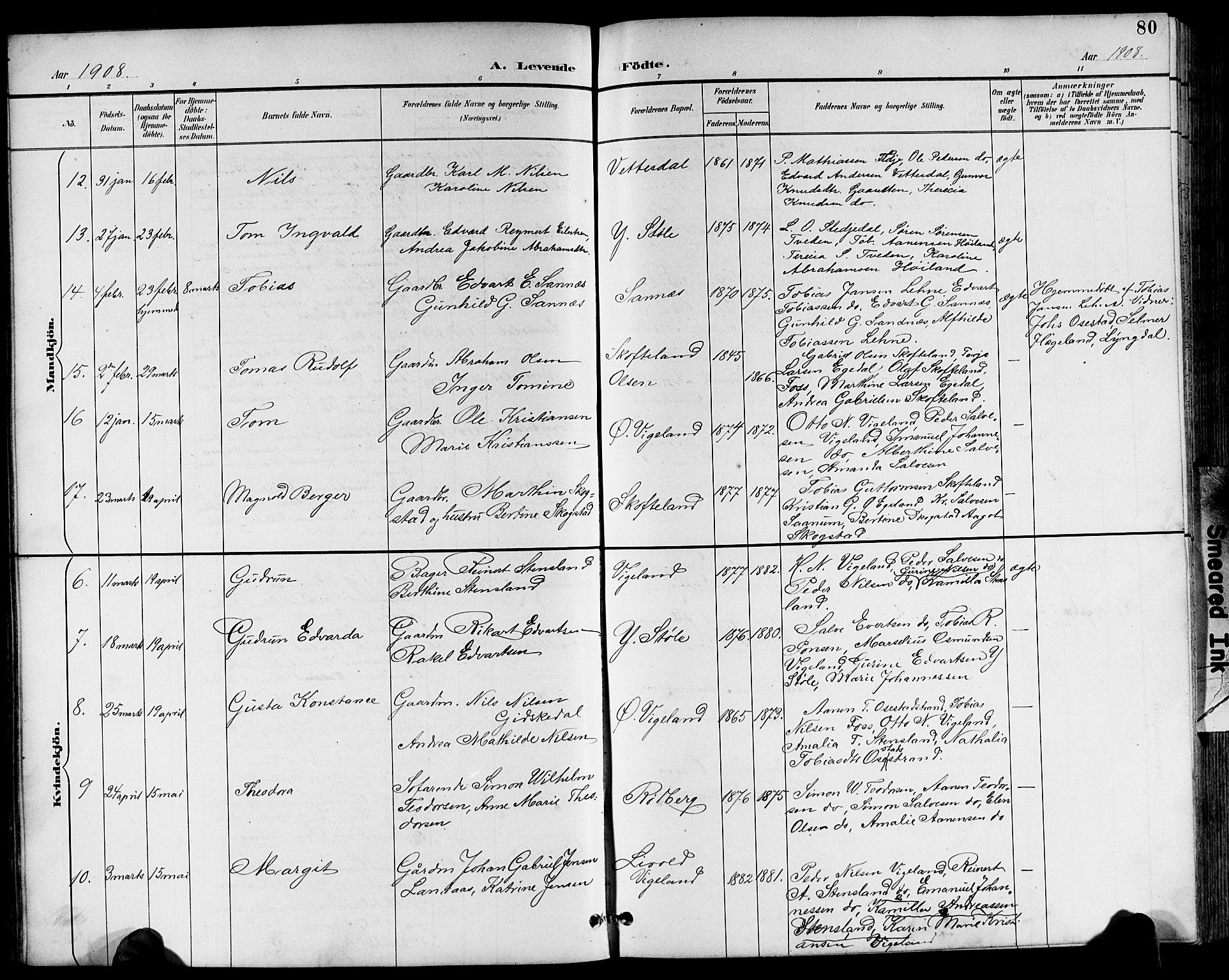 Sør-Audnedal sokneprestkontor, AV/SAK-1111-0039/F/Fb/Fbb/L0006: Parish register (copy) no. B 6, 1893-1915, p. 80