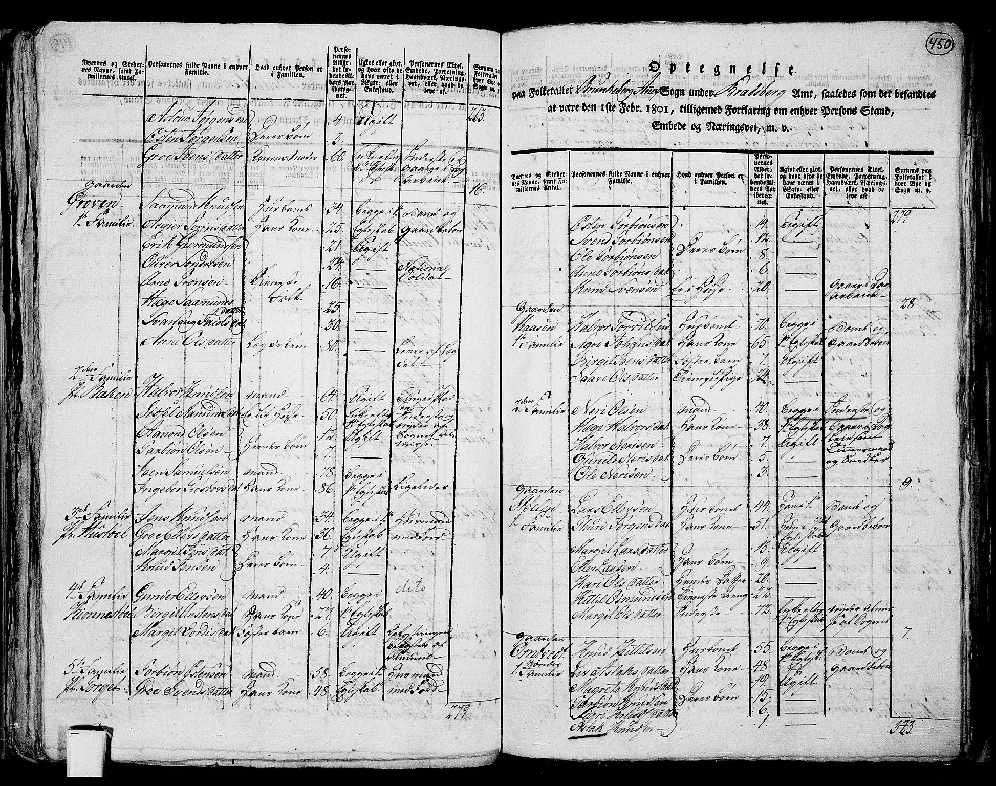 RA, 1801 census for 0829P Kviteseid, 1801, p. 449b-450a