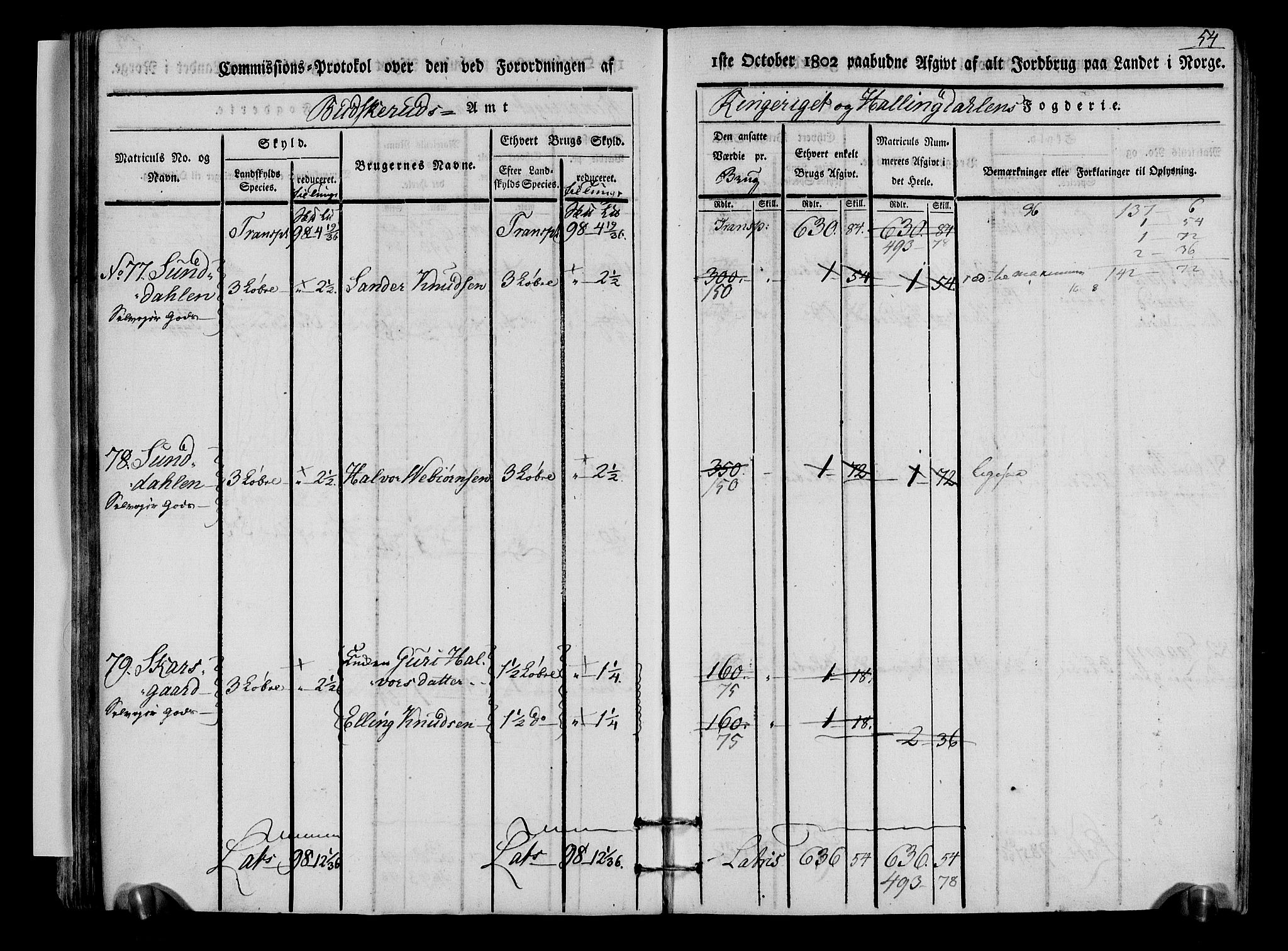 Rentekammeret inntil 1814, Realistisk ordnet avdeling, AV/RA-EA-4070/N/Ne/Nea/L0048: Ringerike og Hallingdal fogderi. Kommisjonsprotokoll for Ål prestegjeld, 1803, p. 57