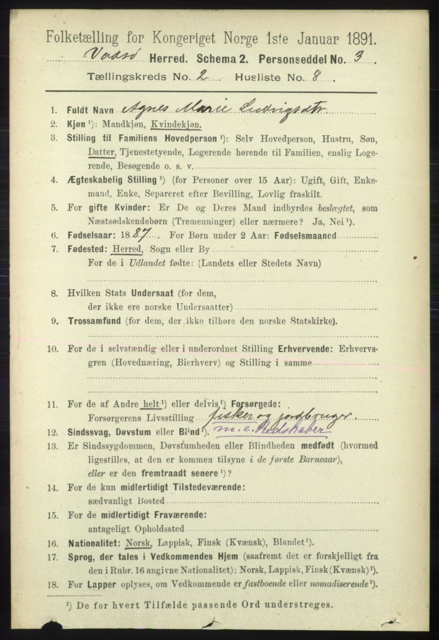 RA, 1891 census for 2029 Vadsø, 1891, p. 485