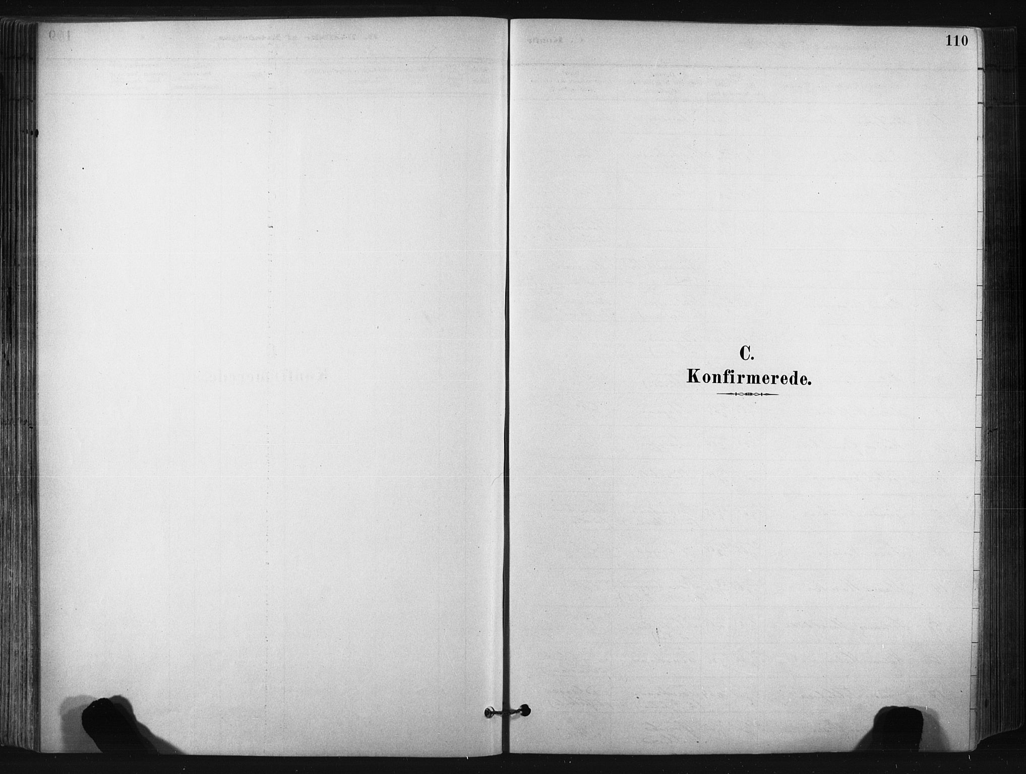 Bø kirkebøker, SAKO/A-257/F/Fa/L0010: Parish register (official) no. 10, 1880-1892, p. 110