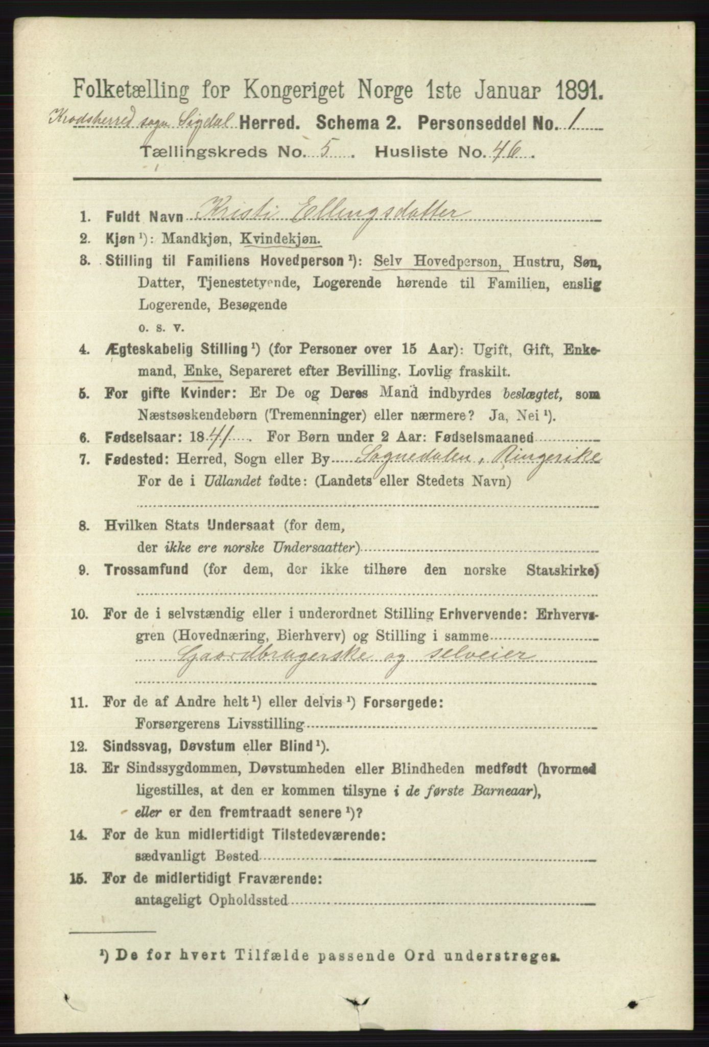 RA, 1891 census for 0621 Sigdal, 1891, p. 6575