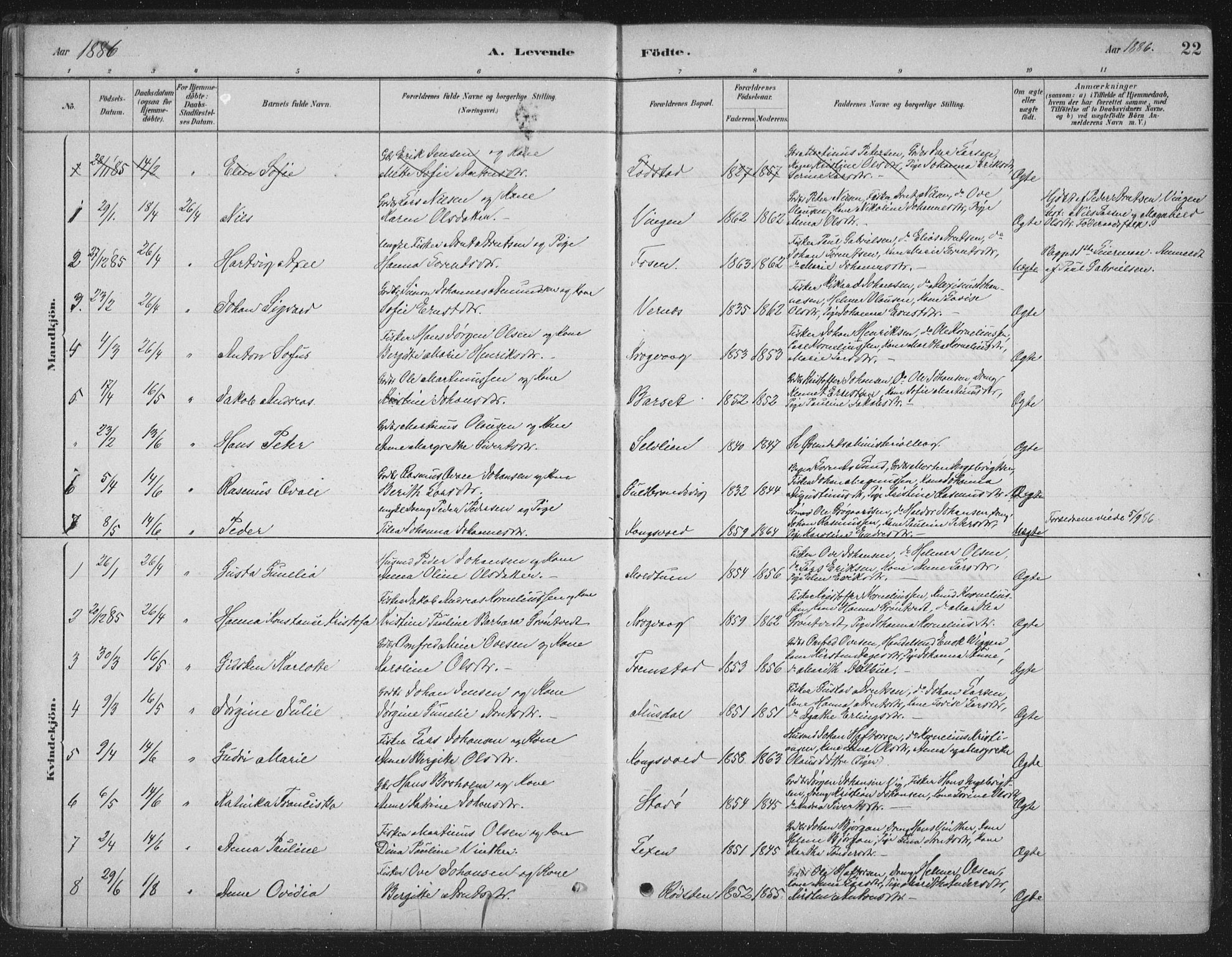 Ministerialprotokoller, klokkerbøker og fødselsregistre - Sør-Trøndelag, SAT/A-1456/662/L0755: Parish register (official) no. 662A01, 1879-1905, p. 22