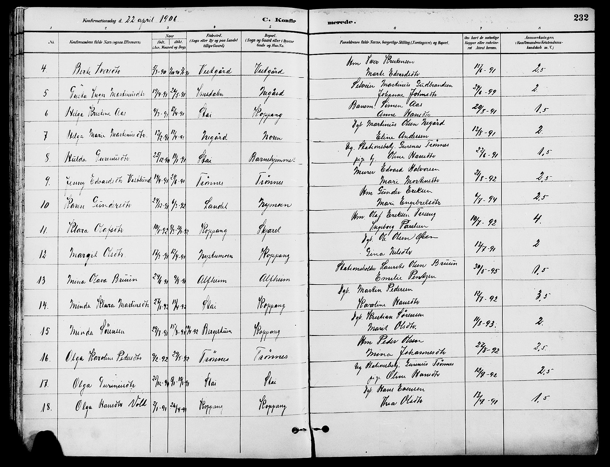 Stor-Elvdal prestekontor, SAH/PREST-052/H/Ha/Haa/L0002: Parish register (official) no. 2, 1882-1907, p. 232