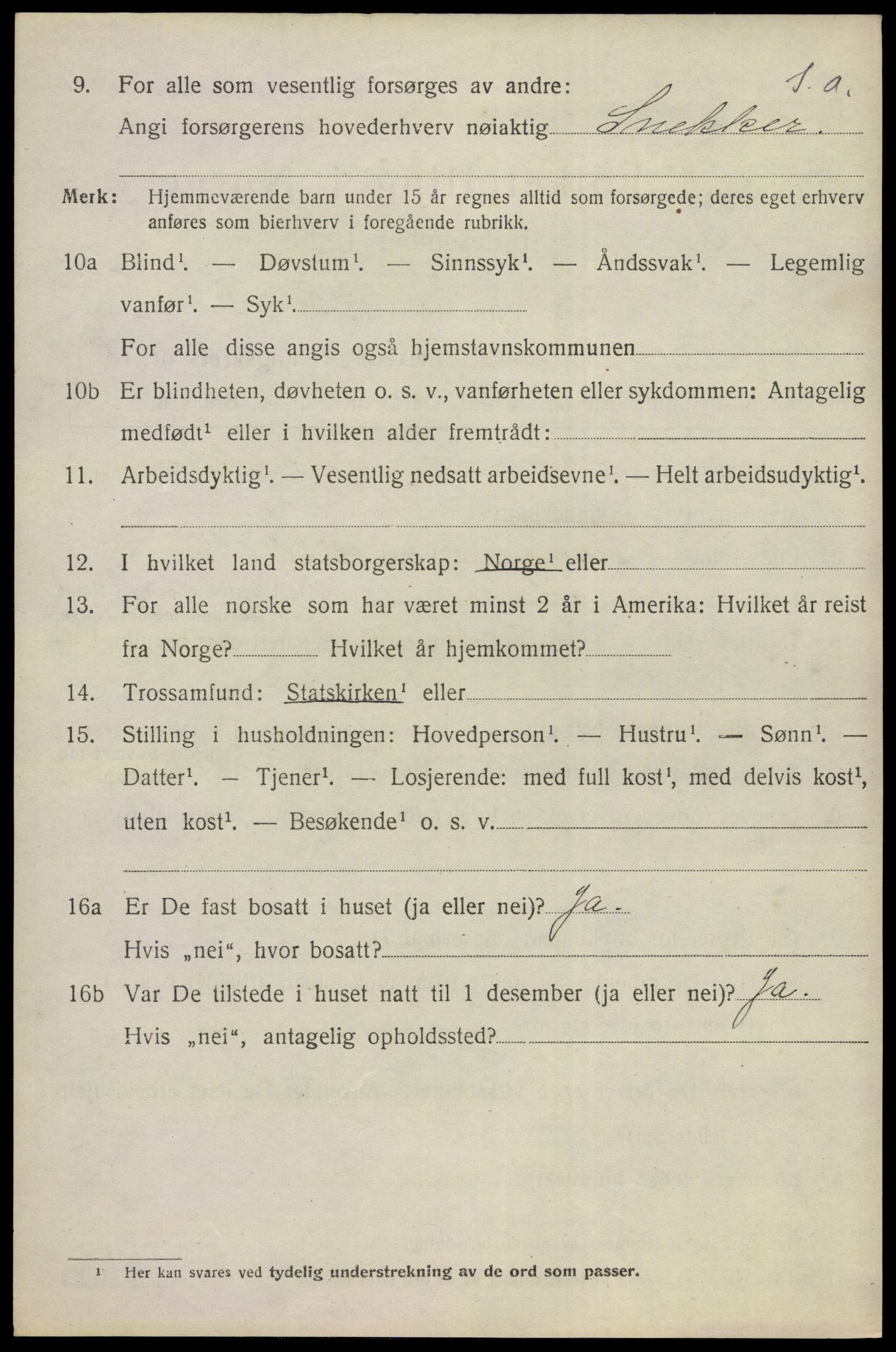 SAKO, 1920 census for Nes (Buskerud), 1920, p. 5063