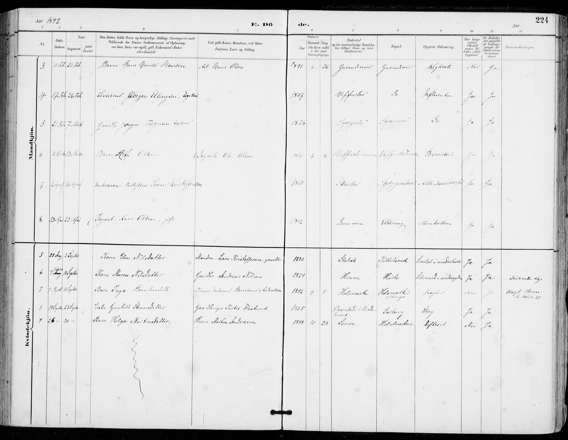 Sylling kirkebøker, AV/SAKO-A-247/F/Fa/L0001: Parish register (official) no. 1, 1883-1910, p. 224