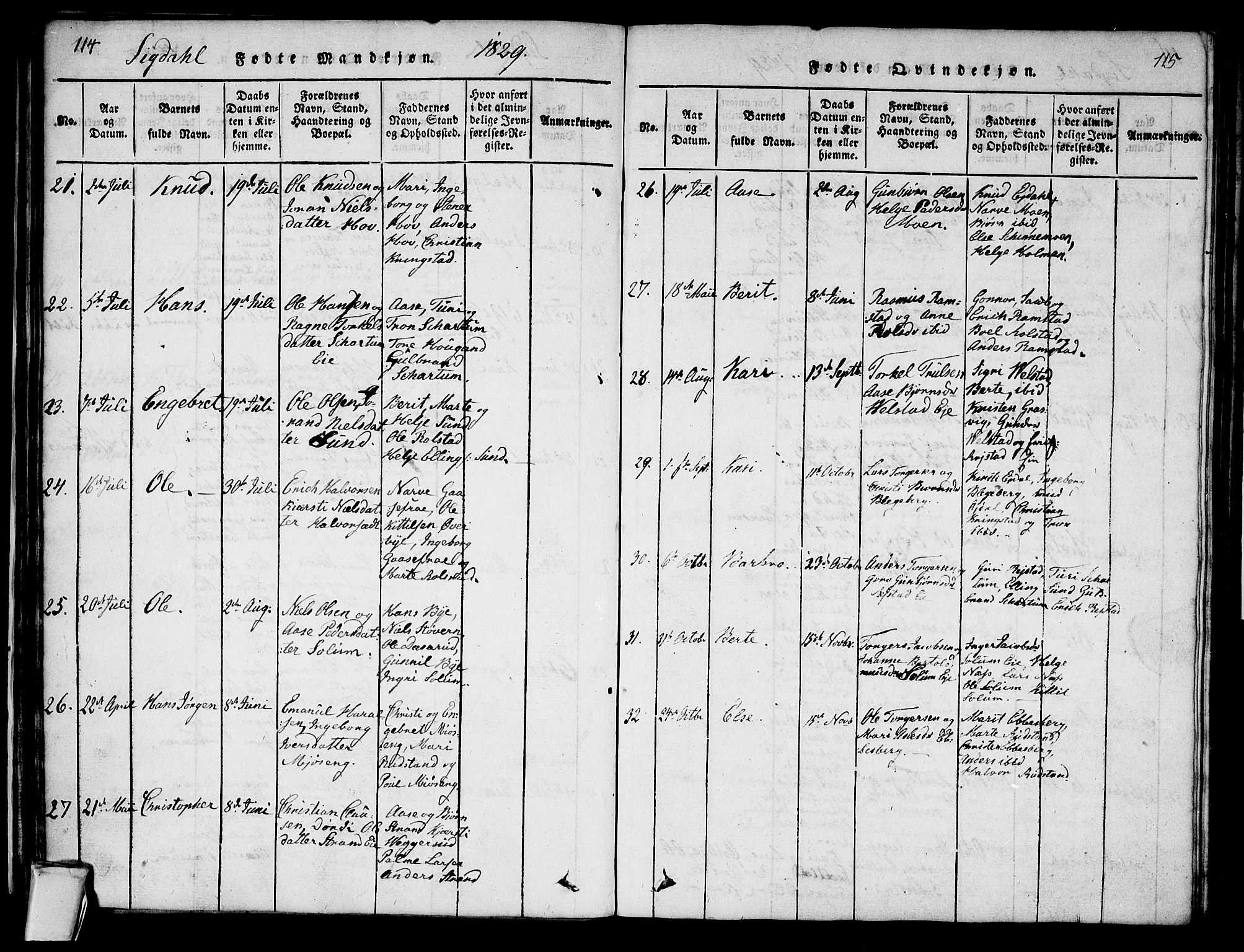 Sigdal kirkebøker, AV/SAKO-A-245/G/Ga/L0001: Parish register (copy) no. I 1 /1, 1816-1835, p. 114-115