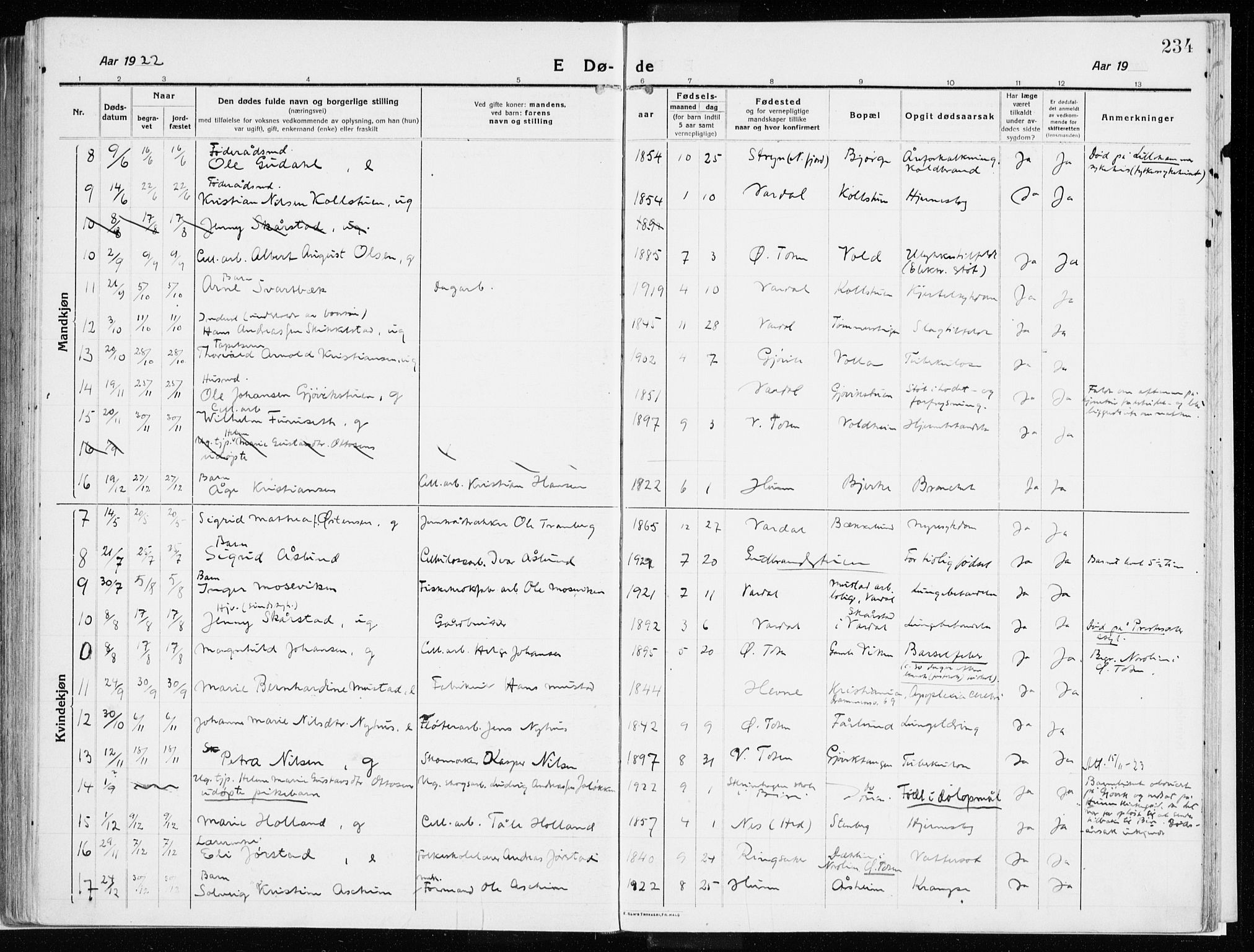 Vardal prestekontor, SAH/PREST-100/H/Ha/Haa/L0017: Parish register (official) no. 17, 1915-1929, p. 234