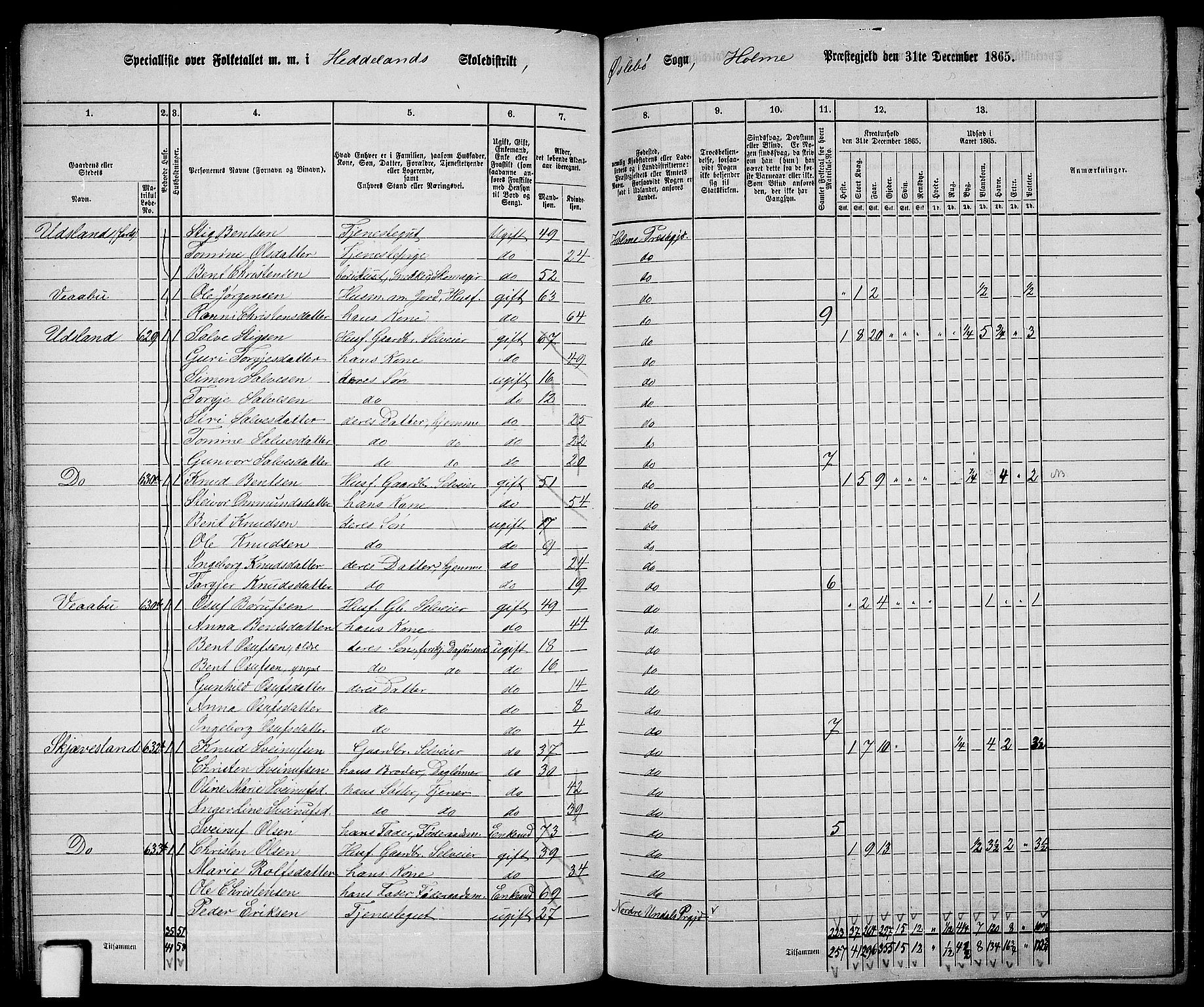 RA, 1865 census for Holum, 1865, p. 96