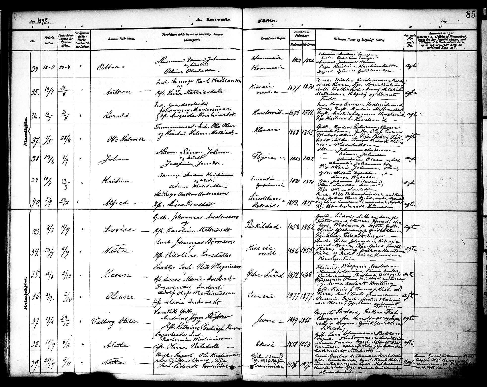 Nes prestekontor, Hedmark, AV/SAH-PREST-020/K/Ka/L0009: Parish register (official) no. 9, 1887-1905, p. 85