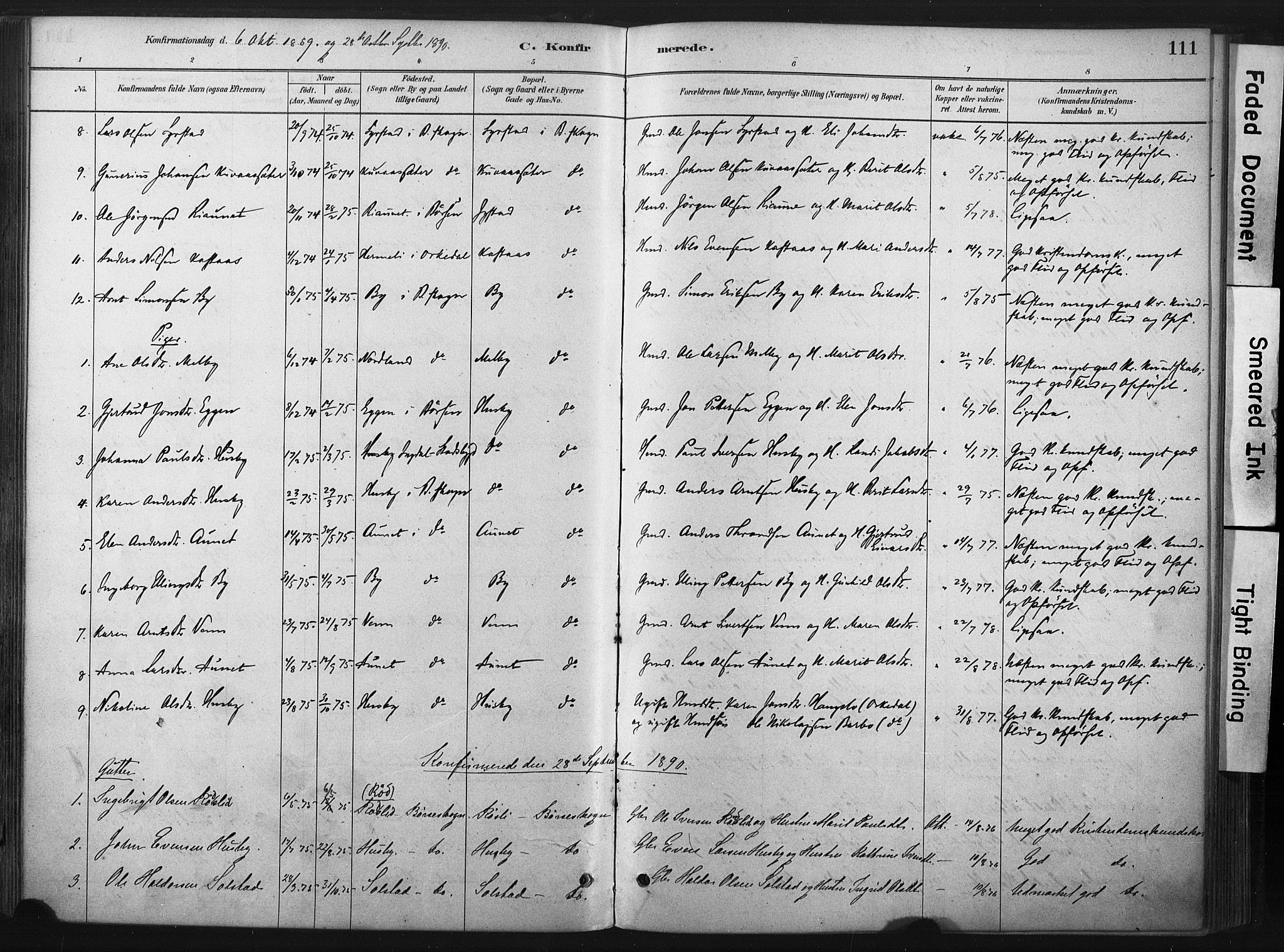 Ministerialprotokoller, klokkerbøker og fødselsregistre - Sør-Trøndelag, AV/SAT-A-1456/667/L0795: Parish register (official) no. 667A03, 1879-1907, p. 111