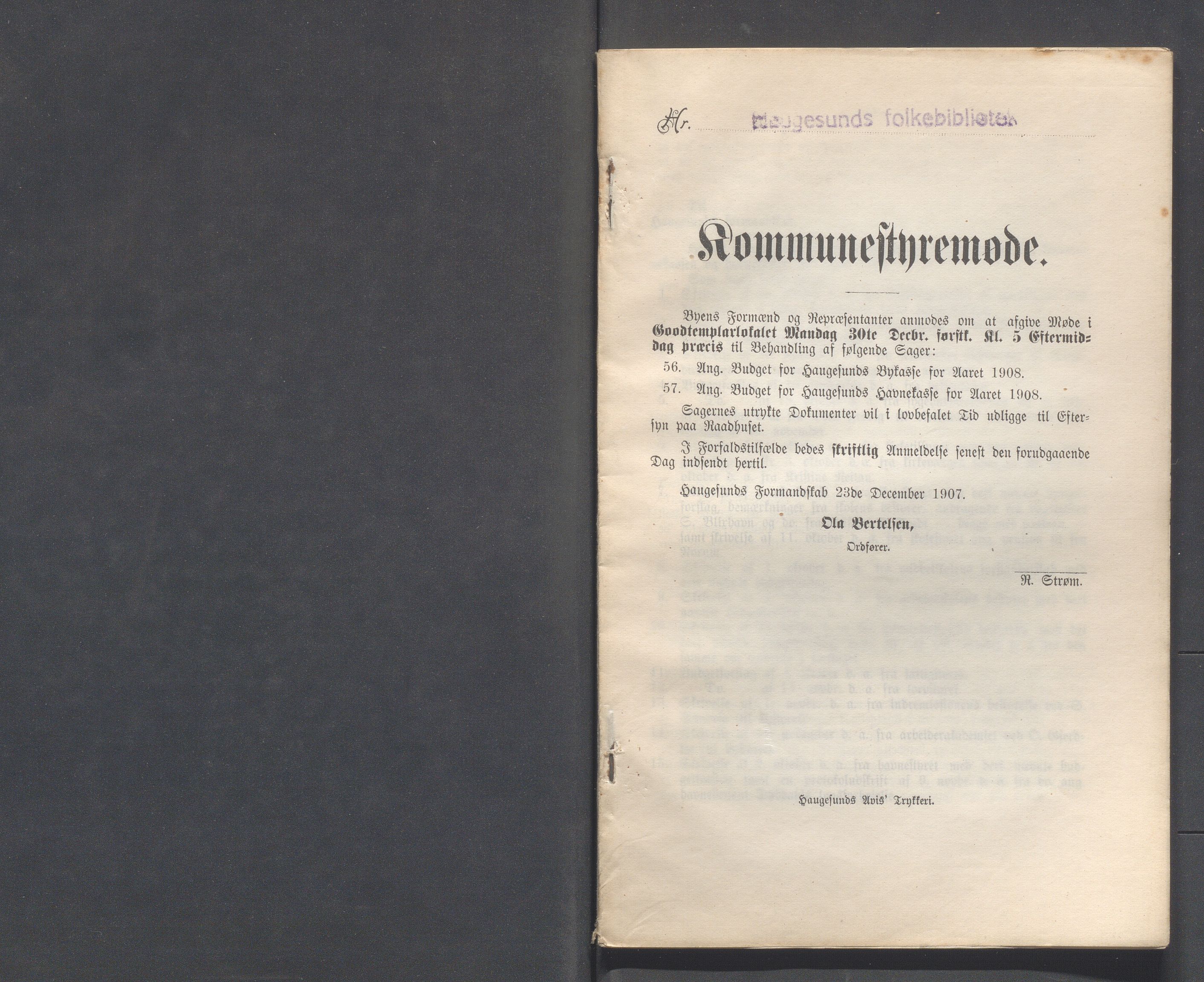 Haugesund kommune - Formannskapet og Bystyret, IKAR/A-740/A/Abb/L0001: Bystyreforhandlinger, 1889-1907, p. 1013