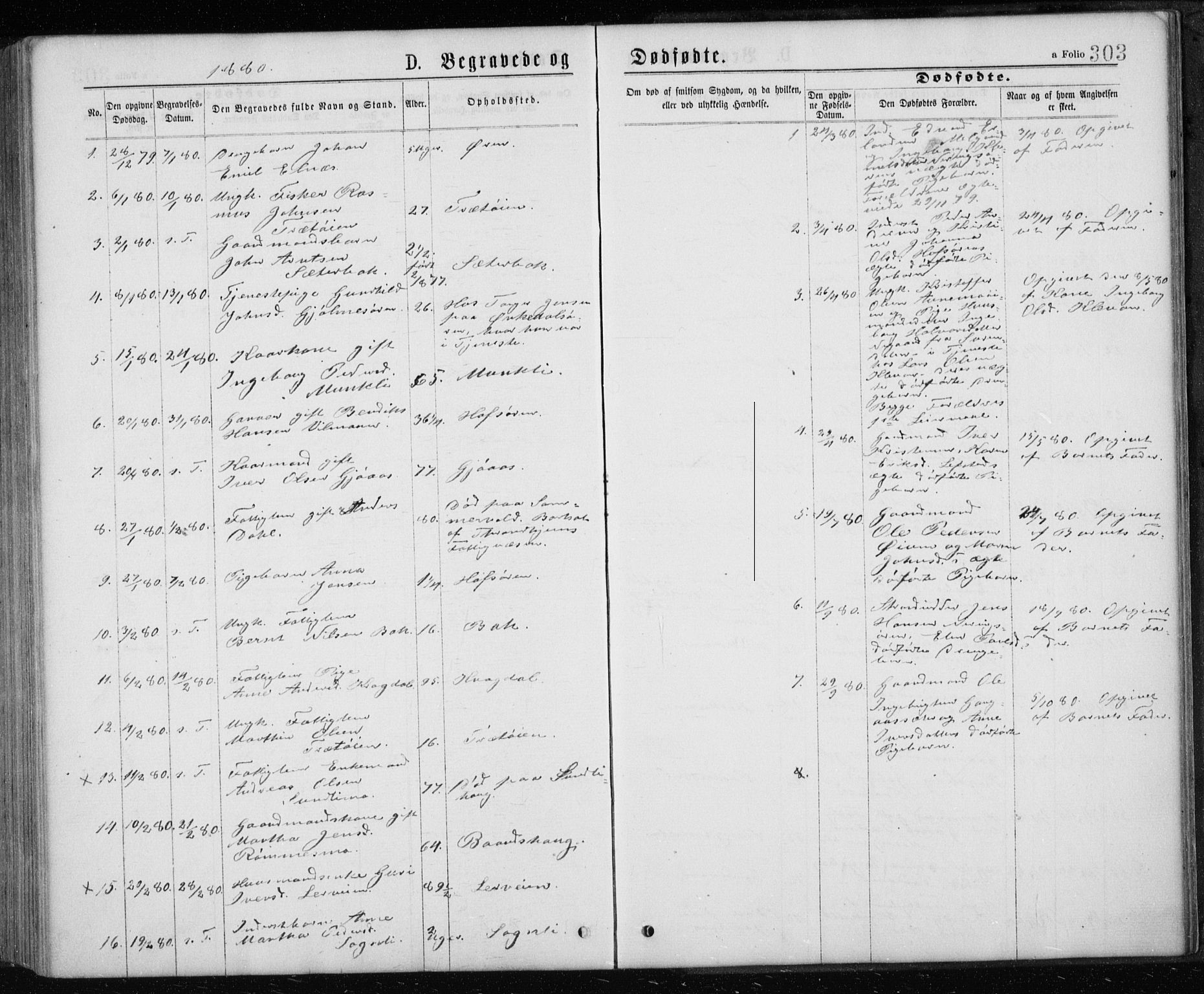 Ministerialprotokoller, klokkerbøker og fødselsregistre - Sør-Trøndelag, SAT/A-1456/668/L0817: Parish register (copy) no. 668C06, 1873-1884, p. 303