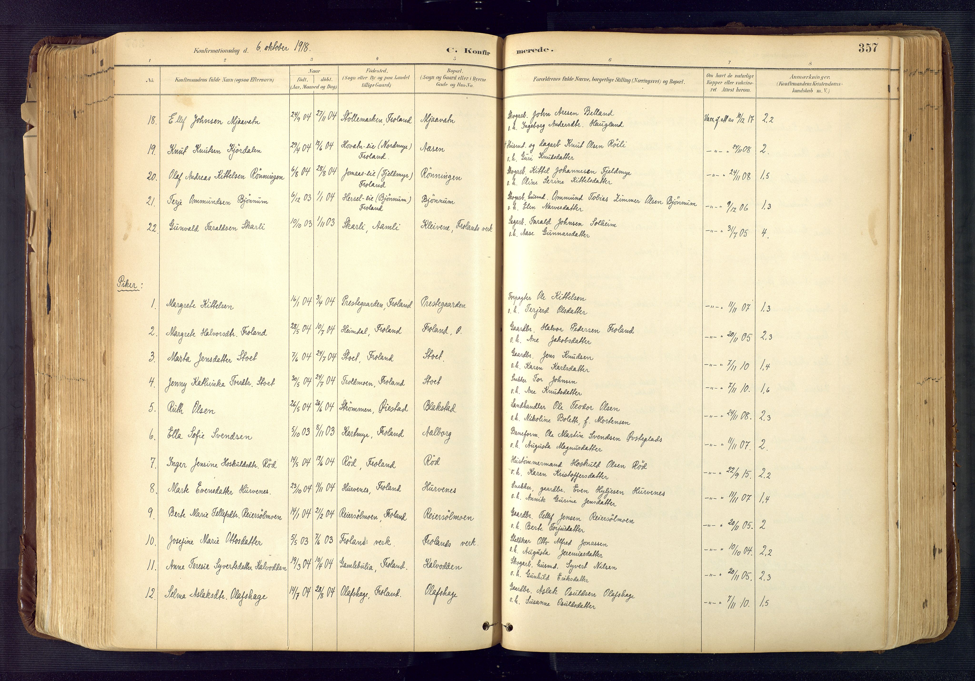 Froland sokneprestkontor, SAK/1111-0013/F/Fa/L0005: Parish register (official) no. A 5, 1882-1921, p. 357