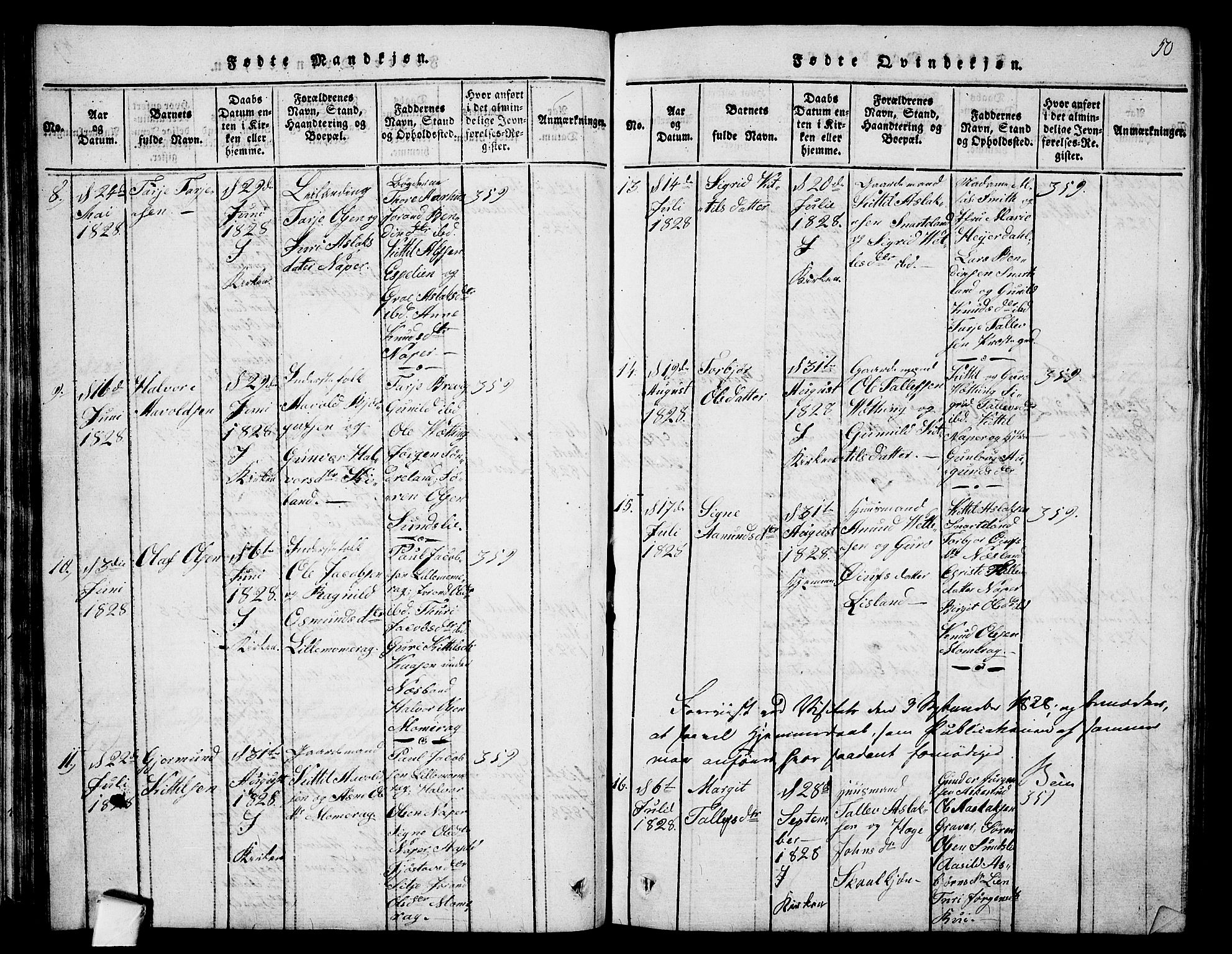 Fyresdal kirkebøker, AV/SAKO-A-263/G/Ga/L0001: Parish register (copy) no. I 1, 1816-1840, p. 50