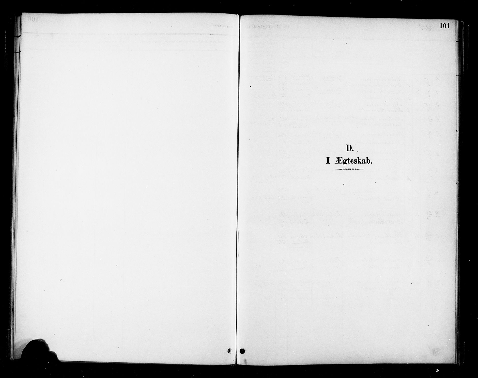 Ministerialprotokoller, klokkerbøker og fødselsregistre - Møre og Romsdal, SAT/A-1454/570/L0832: Parish register (official) no. 570A06, 1885-1900, p. 101