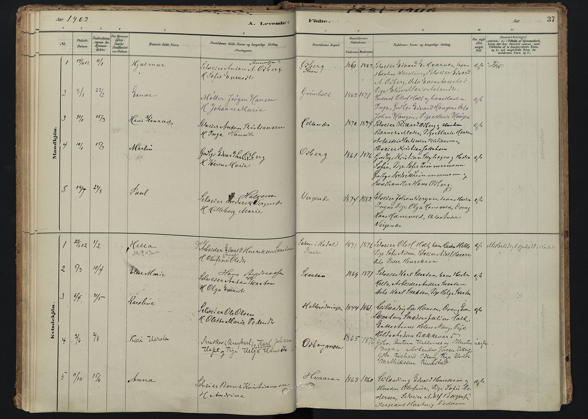 Hedrum kirkebøker, SAKO/A-344/F/Fc/L0001: Parish register (official) no. III 1, 1881-1906, p. 37