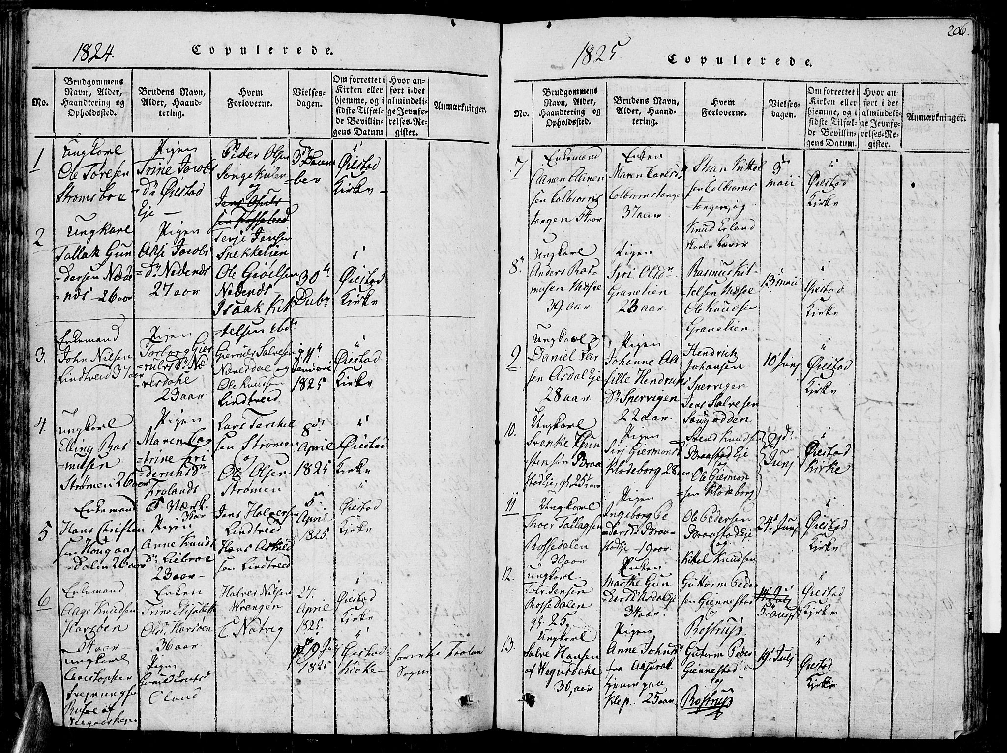 Øyestad sokneprestkontor, SAK/1111-0049/F/Fb/L0003: Parish register (copy) no. B 3, 1816-1827, p. 206