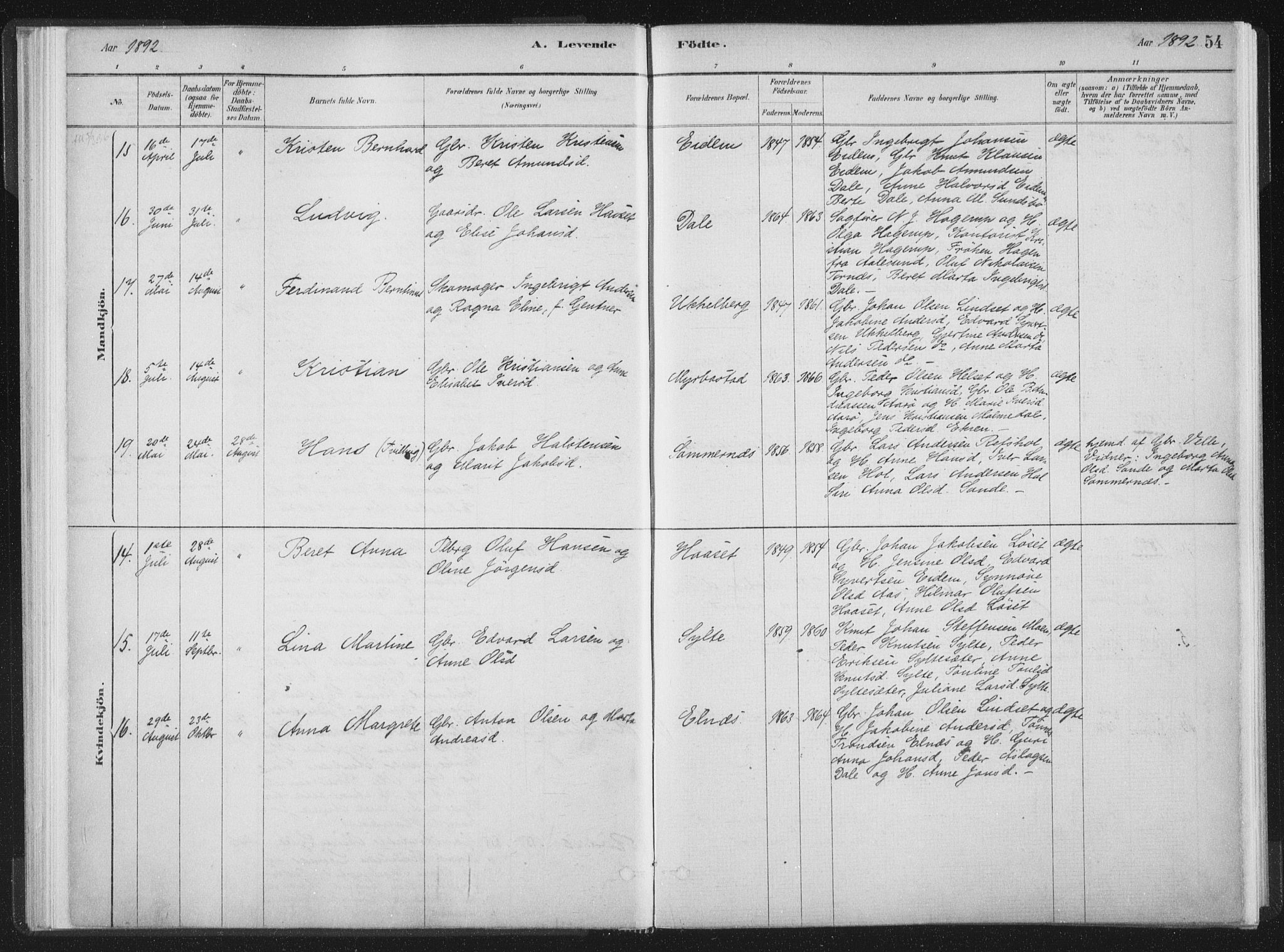 Ministerialprotokoller, klokkerbøker og fødselsregistre - Møre og Romsdal, AV/SAT-A-1454/564/L0740: Parish register (official) no. 564A01, 1880-1899, p. 54