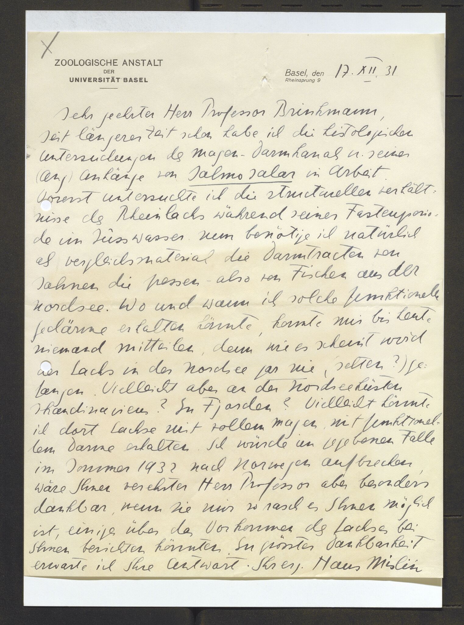 Bergens Museum, AV/SAB-A-17301/13/D/L0002: Korrespondanse , 1928-1940, p. 156