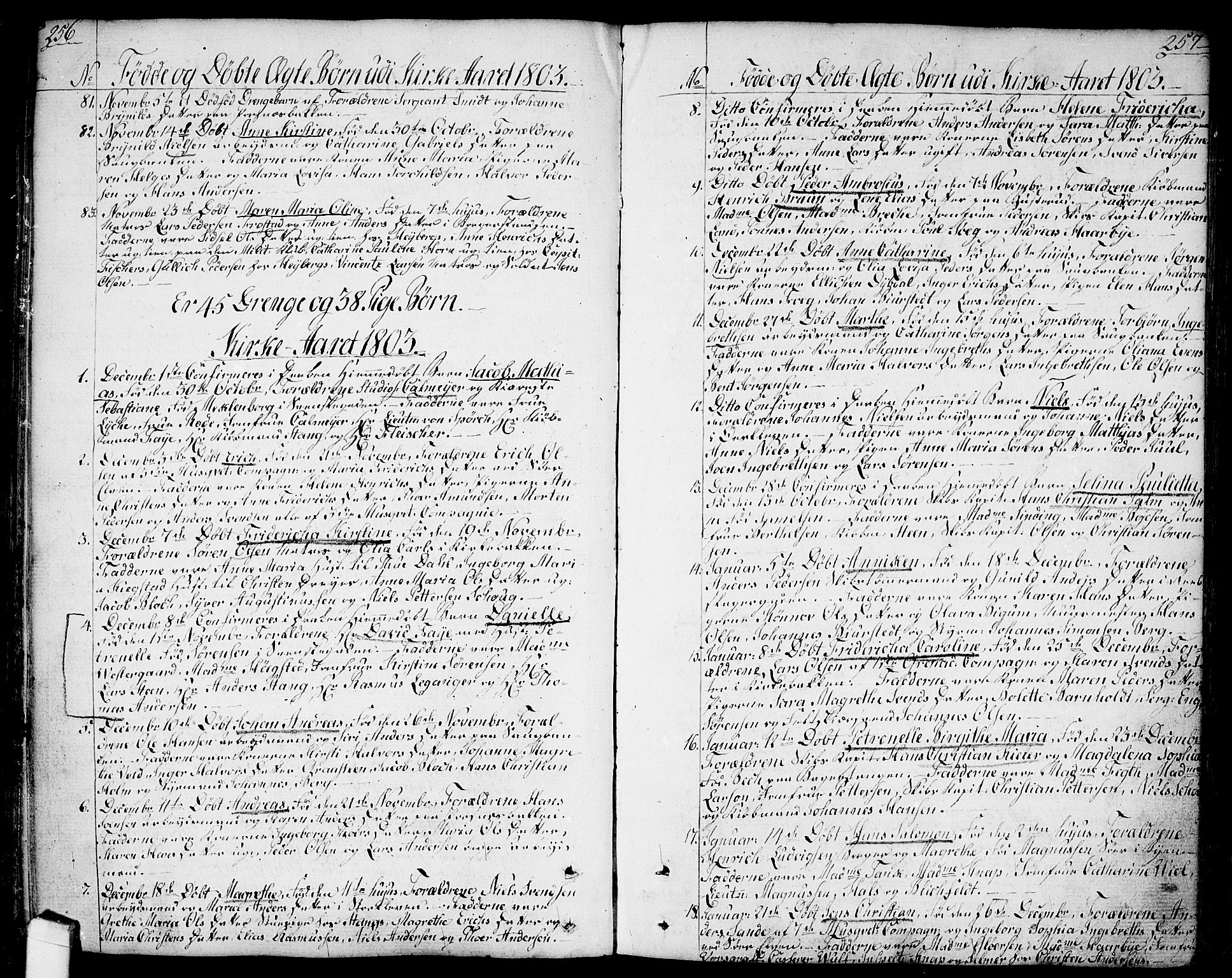 Halden prestekontor Kirkebøker, SAO/A-10909/F/Fa/L0002: Parish register (official) no. I 2, 1792-1812, p. 256-257