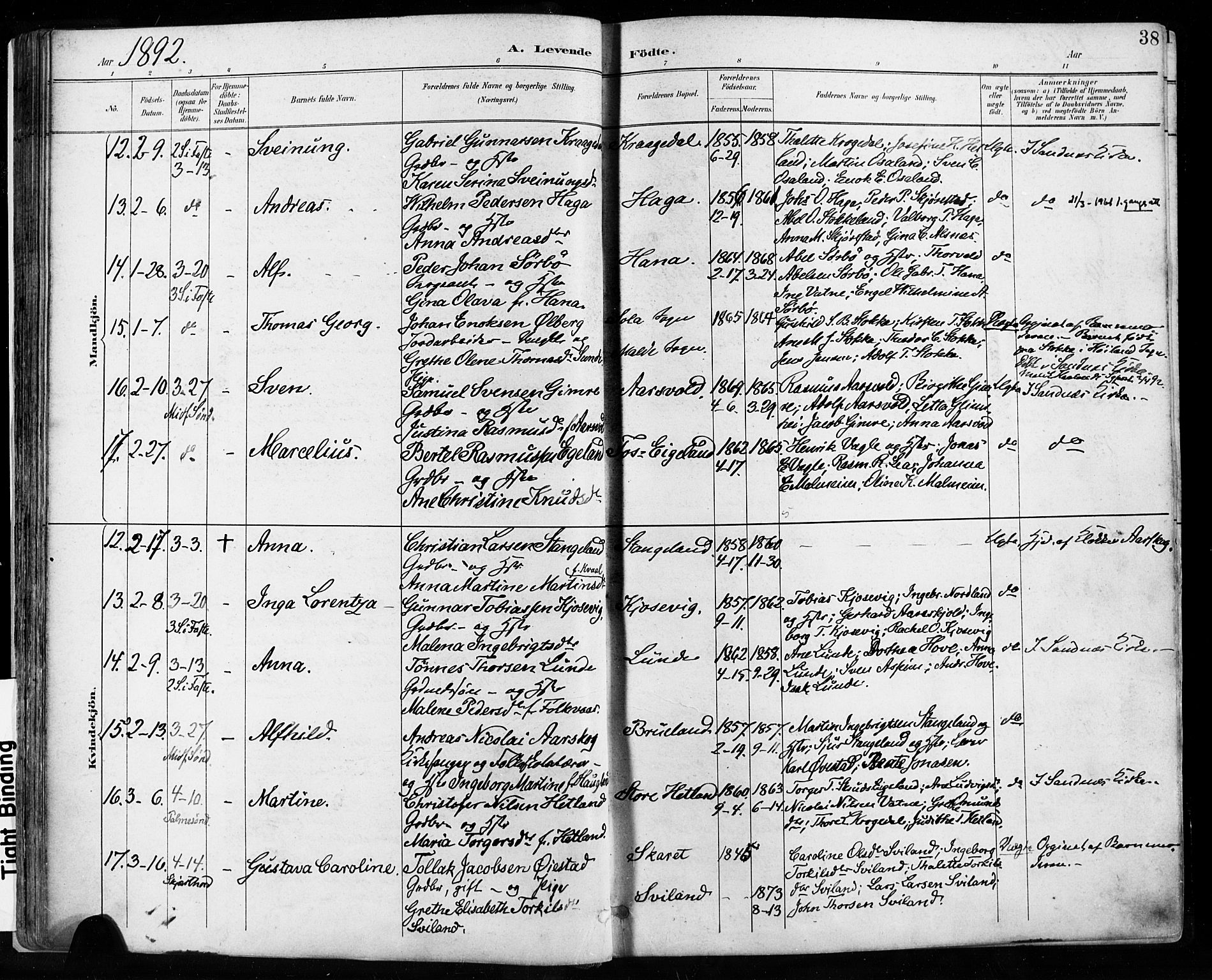 Høyland sokneprestkontor, AV/SAST-A-101799/001/30BA/L0013: Parish register (official) no. A 13.1, 1889-1898, p. 38