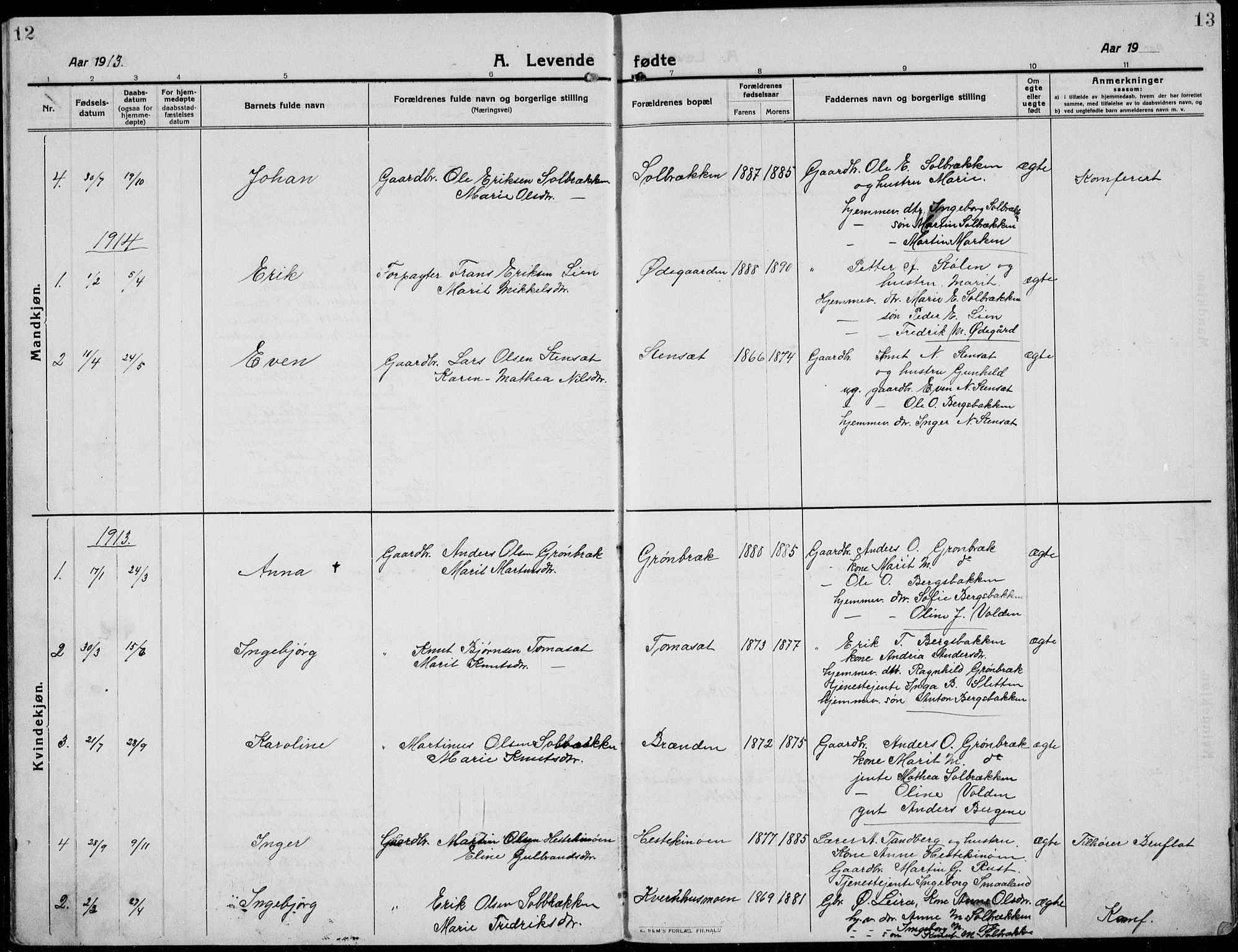 Etnedal prestekontor, AV/SAH-PREST-130/H/Ha/Hab/Habb/L0002: Parish register (copy) no. II 2, 1912-1934, p. 12-13