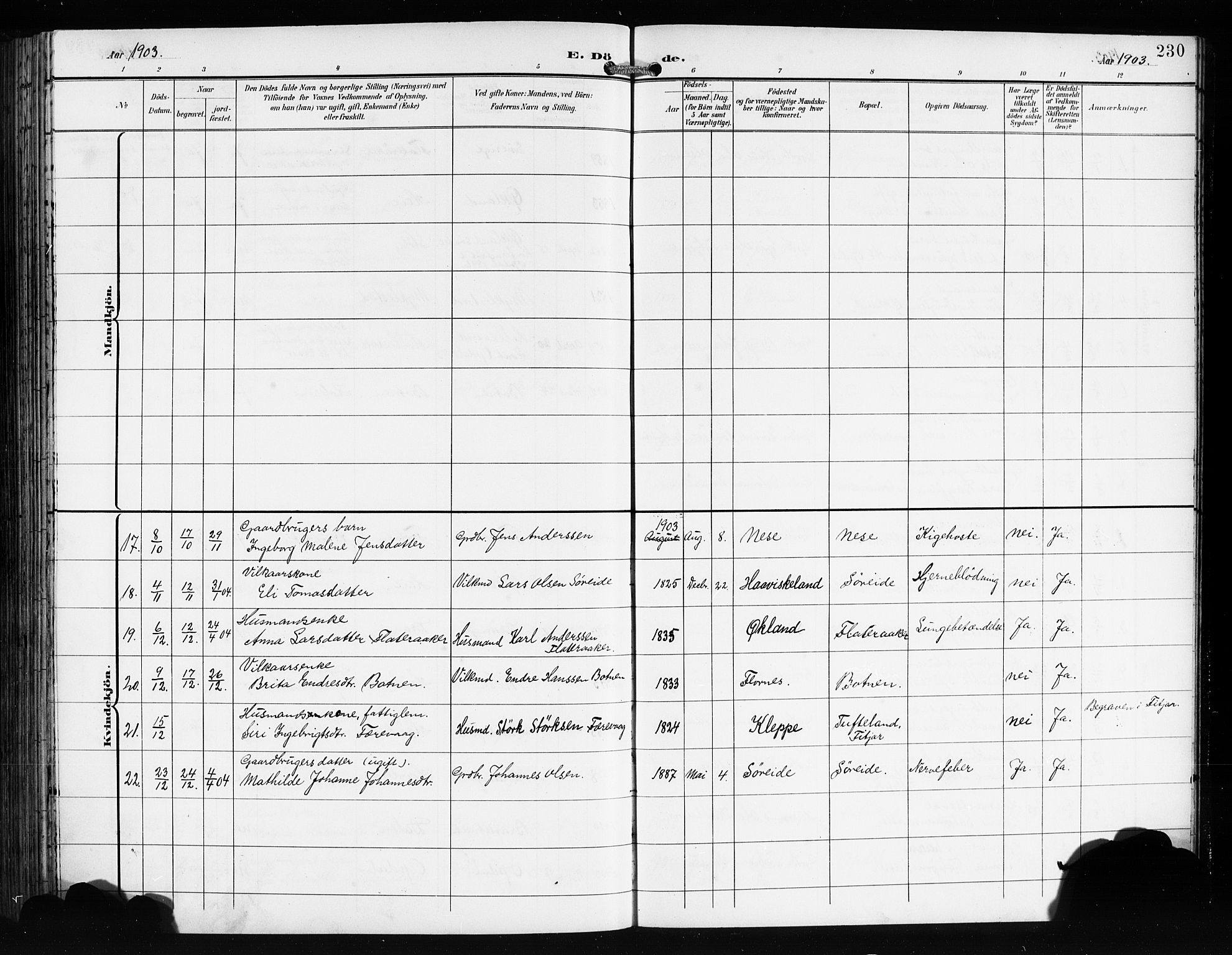 Tysnes sokneprestembete, AV/SAB-A-78601/H/Hab: Parish register (copy) no. E 3, 1897-1913, p. 230