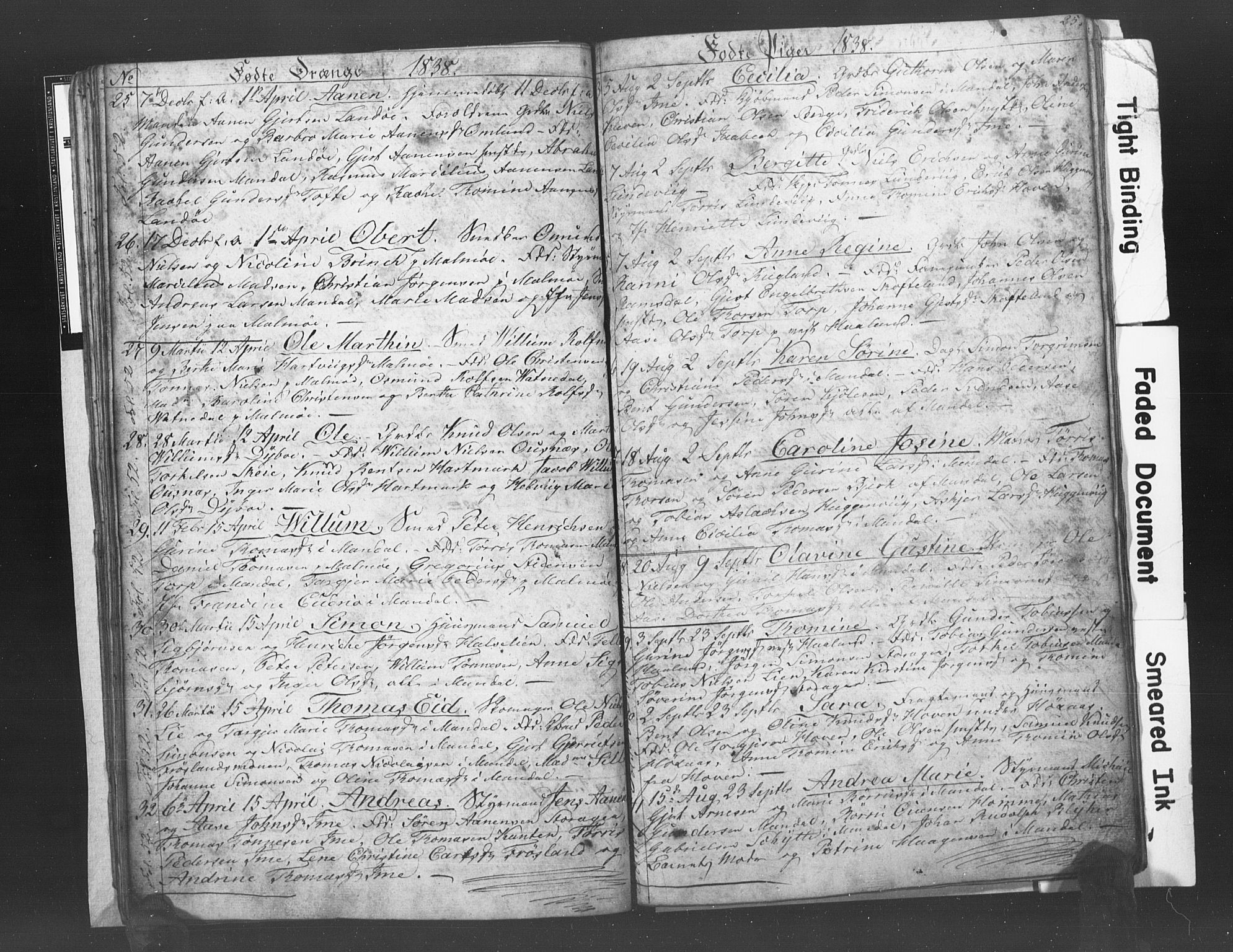 Mandal sokneprestkontor, AV/SAK-1111-0030/F/Fb/Fba/L0003: Parish register (copy) no. B 1C, 1834-1838, p. 25