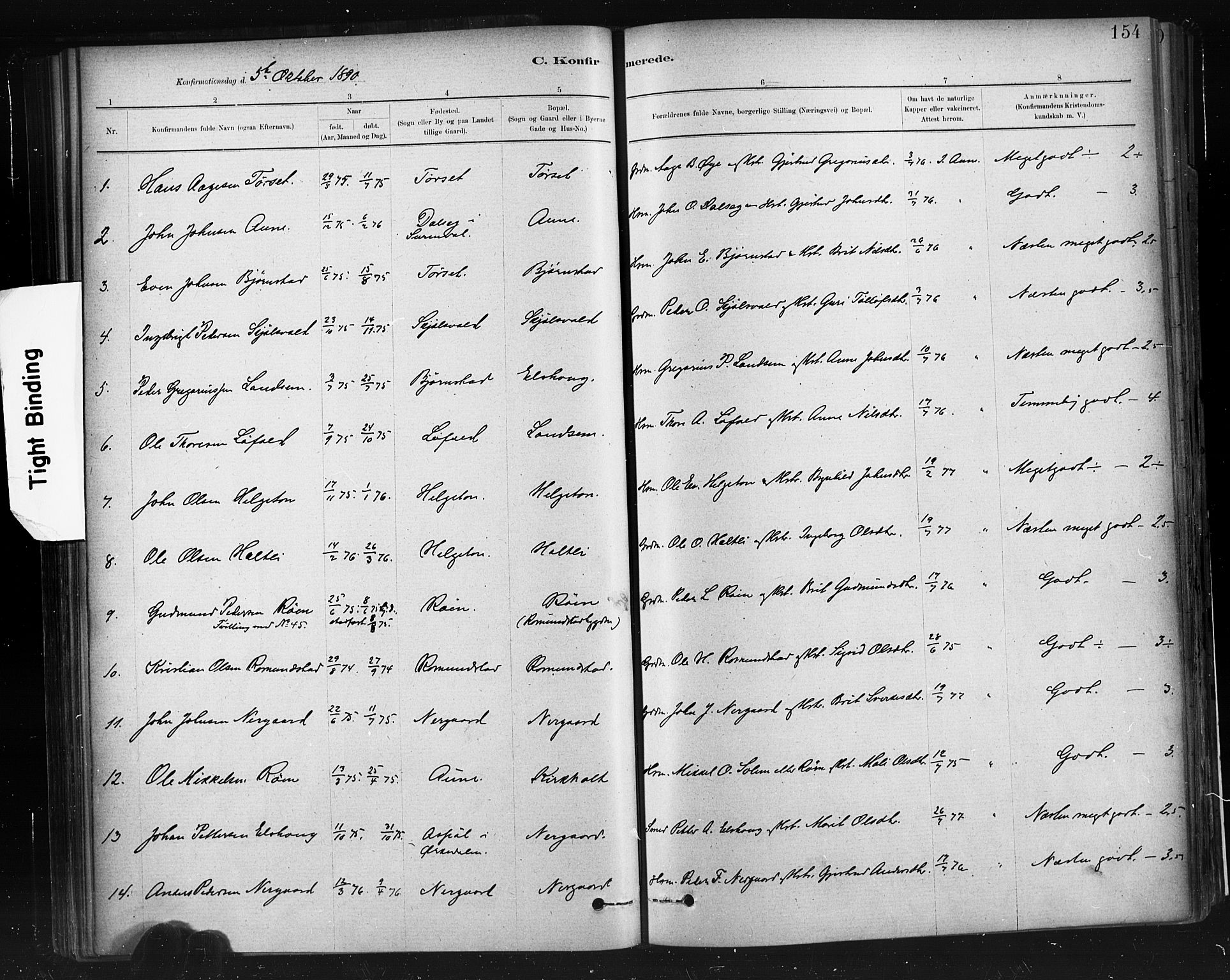 Ministerialprotokoller, klokkerbøker og fødselsregistre - Møre og Romsdal, AV/SAT-A-1454/598/L1069: Parish register (official) no. 598A03, 1882-1895, p. 154