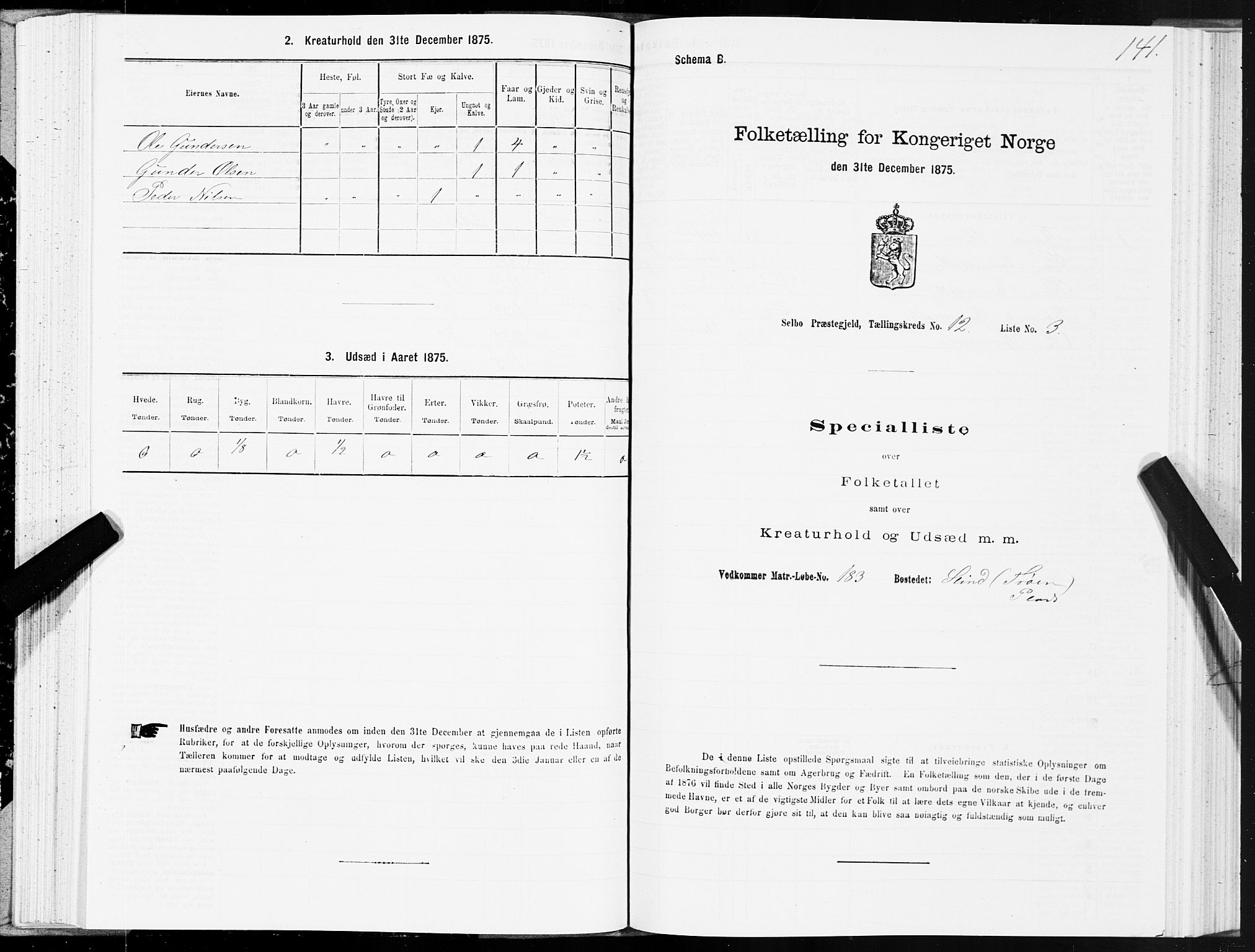 SAT, 1875 census for 1664P Selbu, 1875, p. 6141