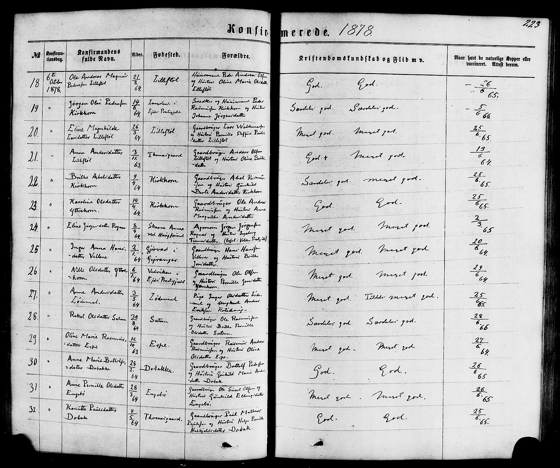 Hornindal sokneprestembete, AV/SAB-A-82401/H/Haa/Haaa/L0002: Parish register (official) no. A 2, 1867-1884, p. 223