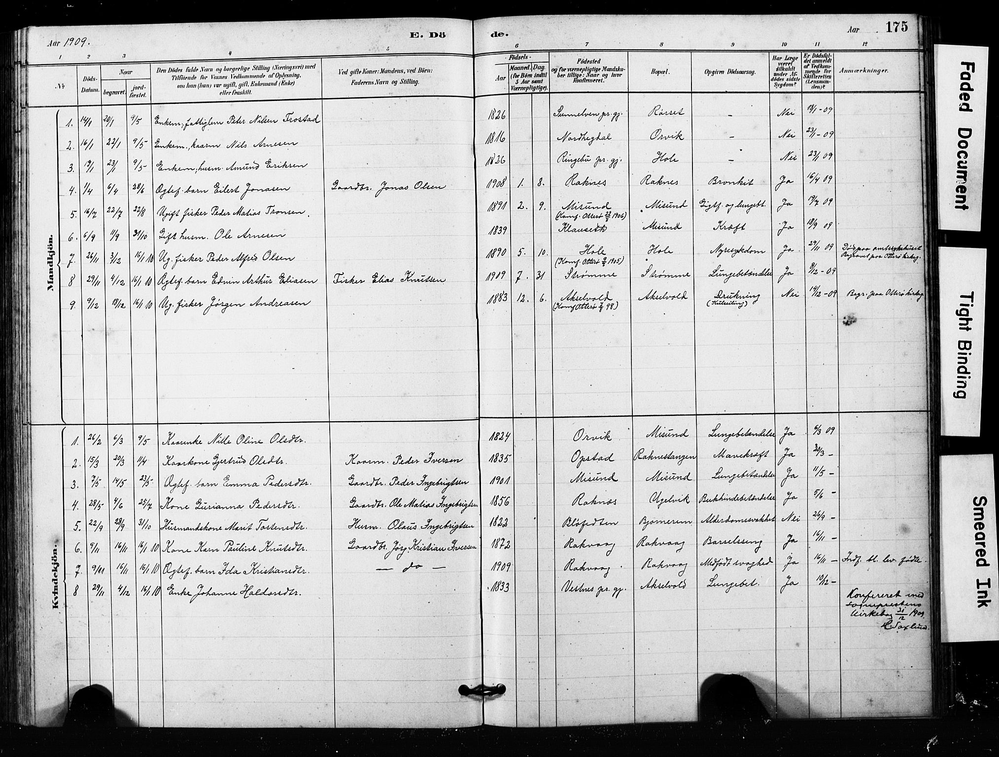 Ministerialprotokoller, klokkerbøker og fødselsregistre - Møre og Romsdal, SAT/A-1454/563/L0737: Parish register (copy) no. 563C01, 1878-1916, p. 175