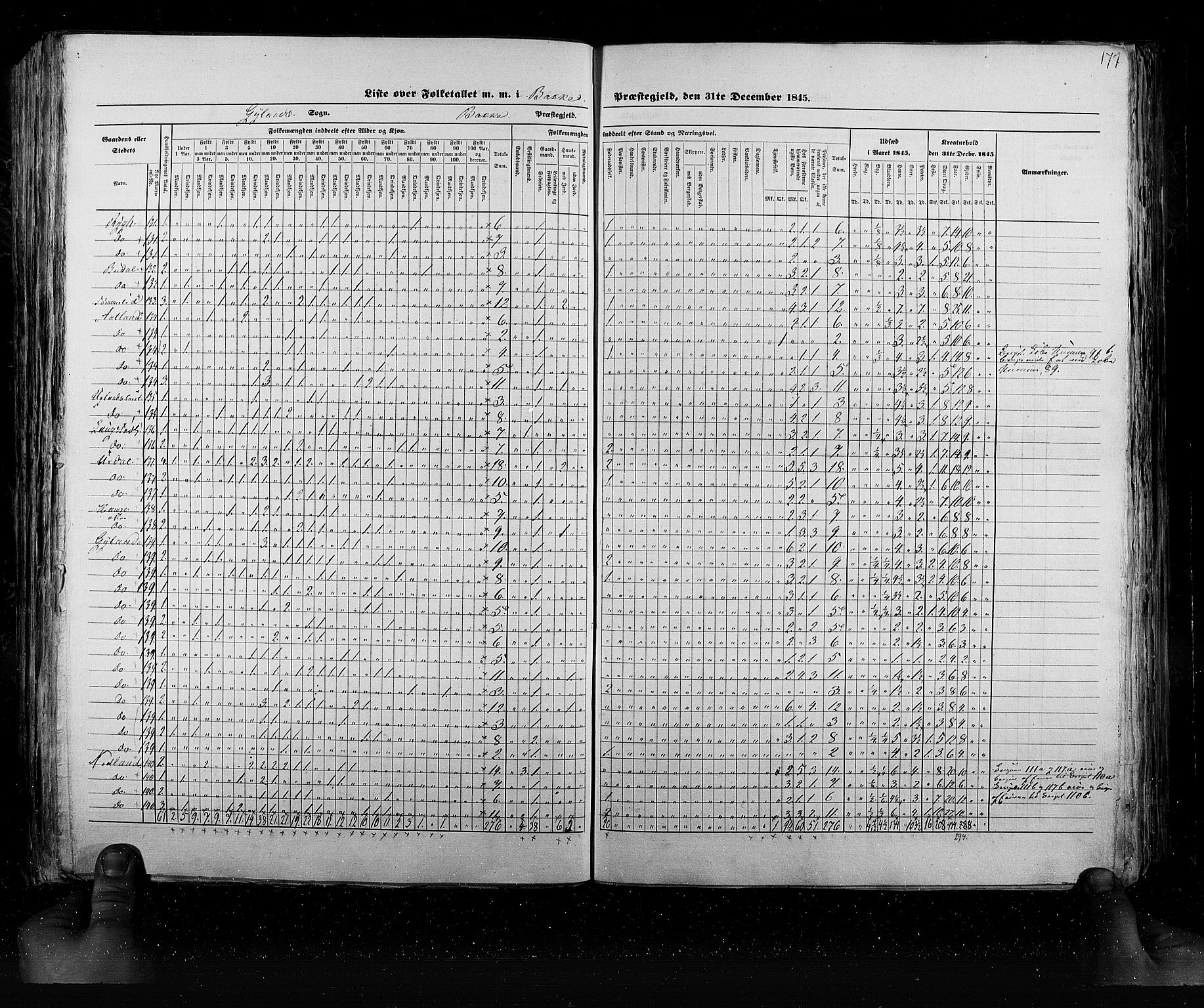 RA, Census 1845, vol. 6: Lister og Mandal amt og Stavanger amt, 1845, p. 177