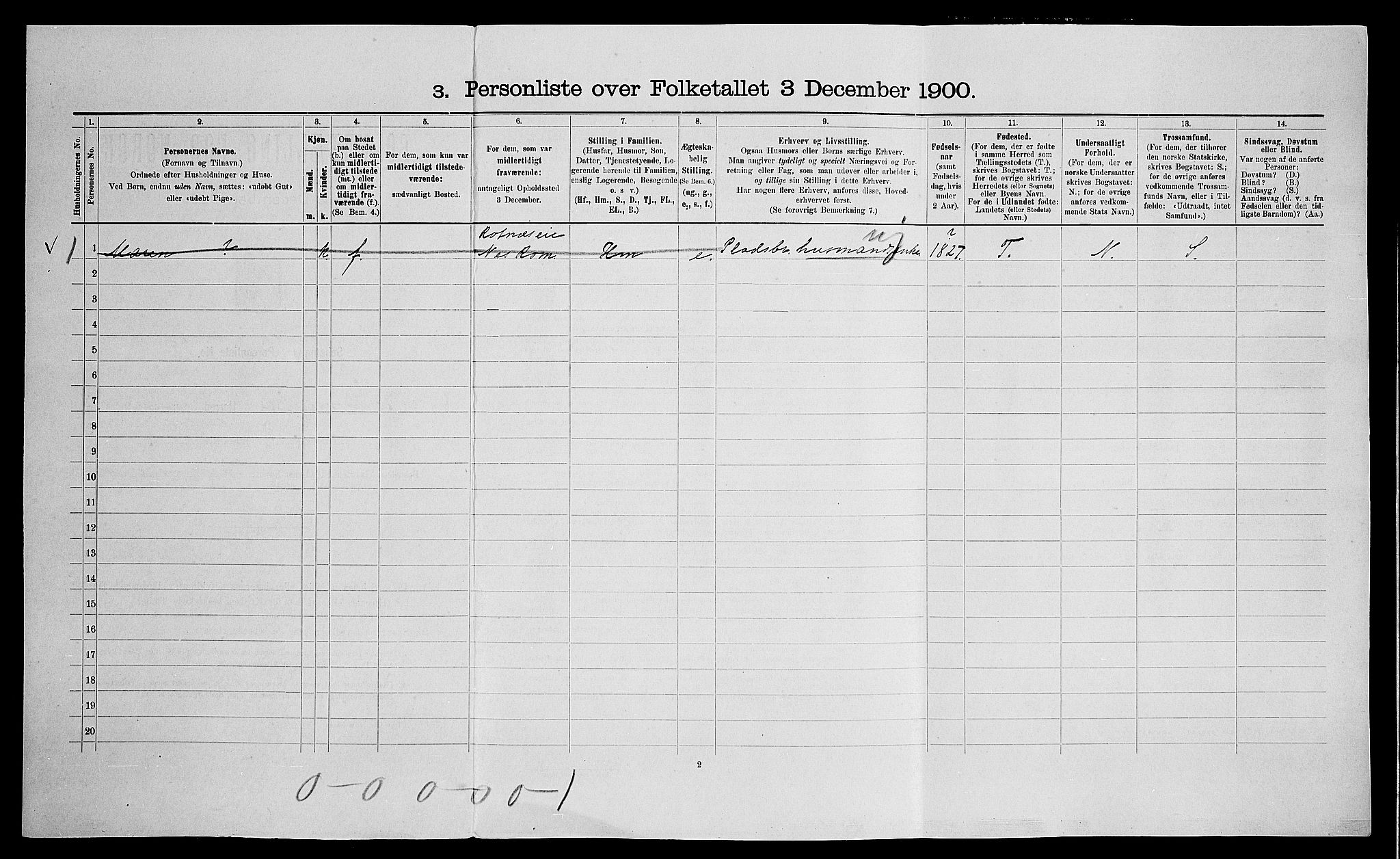 SAO, 1900 census for Nes, 1900