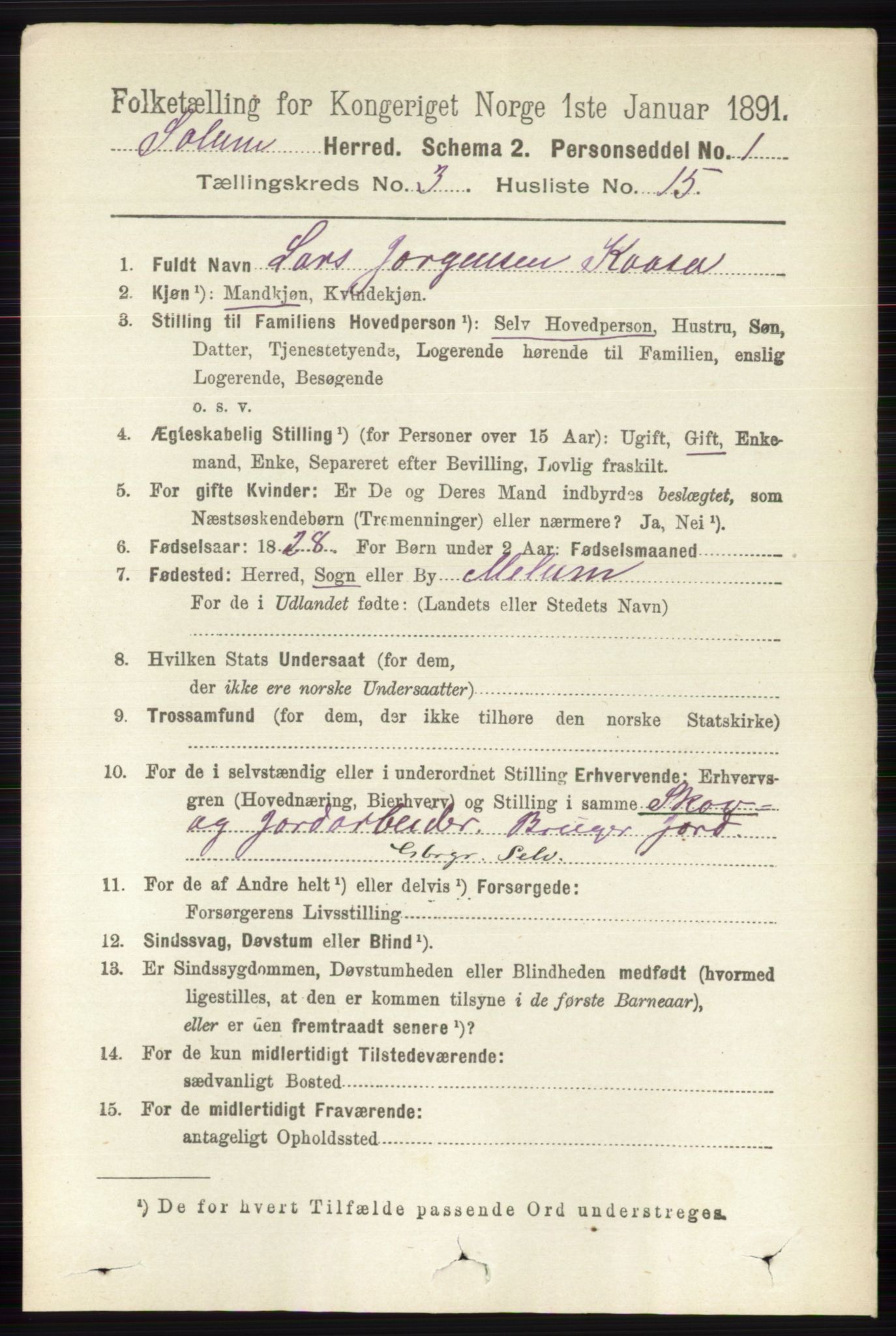 RA, 1891 census for 0818 Solum, 1891, p. 428